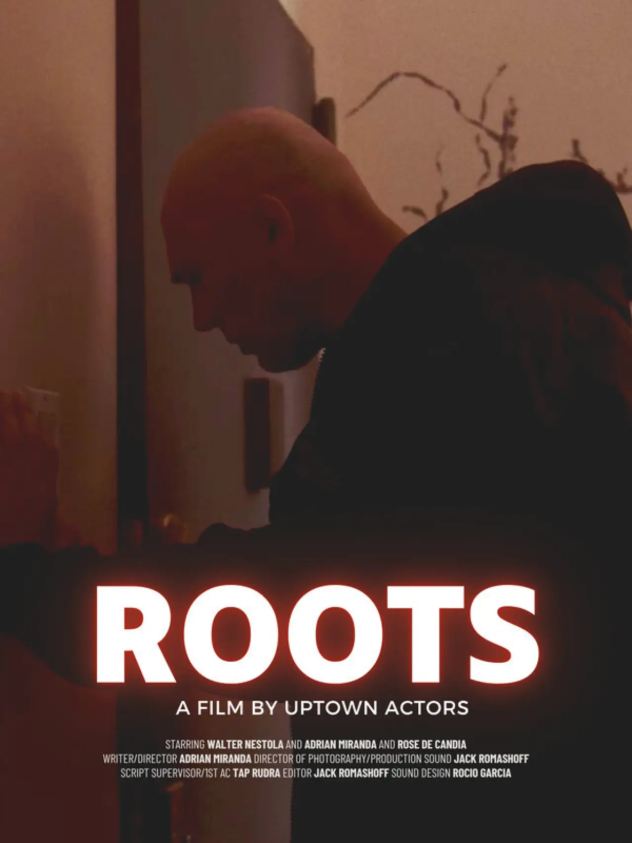 Постер к фильму "Roots"