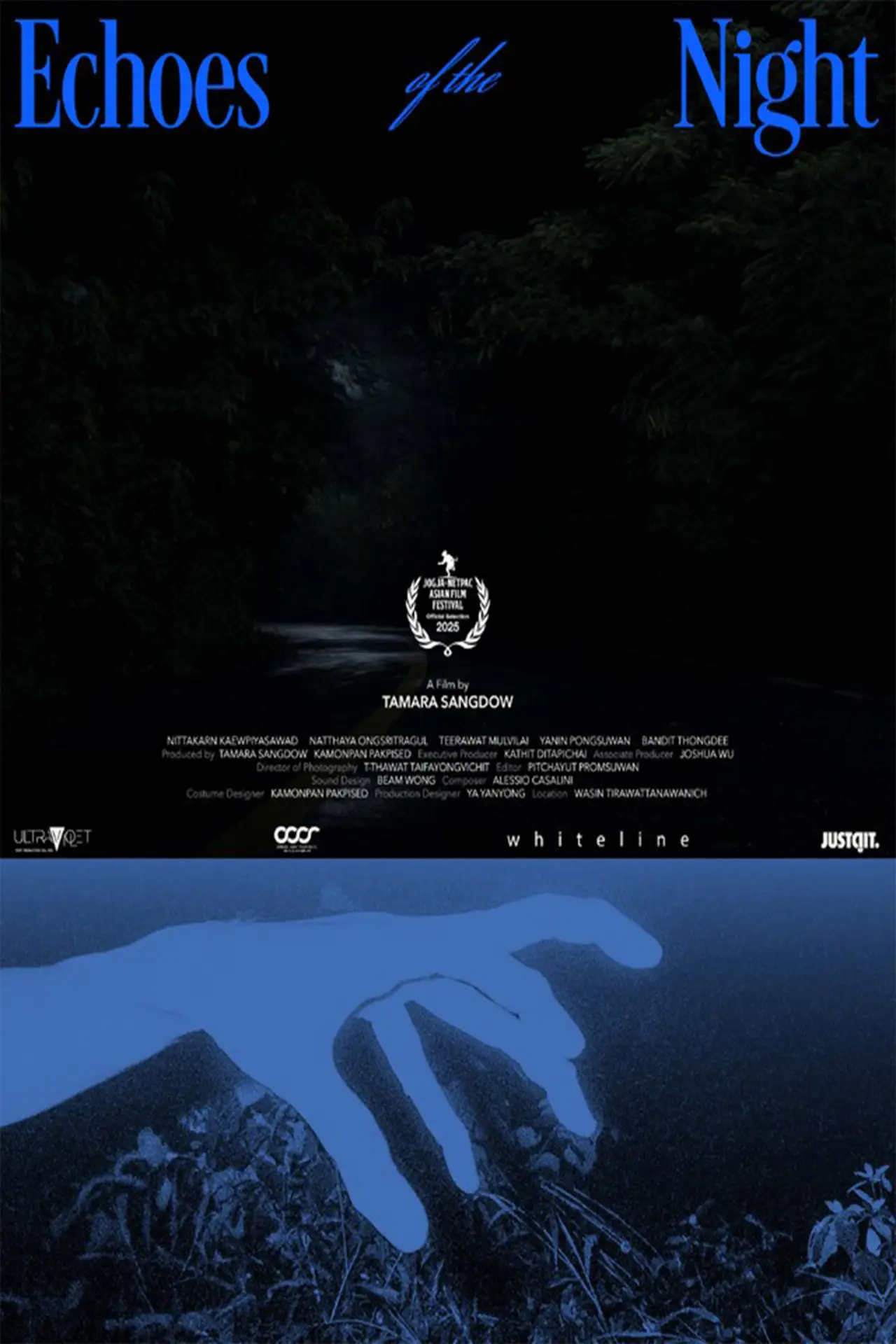 Постер к фильму "Echoes of the Night"