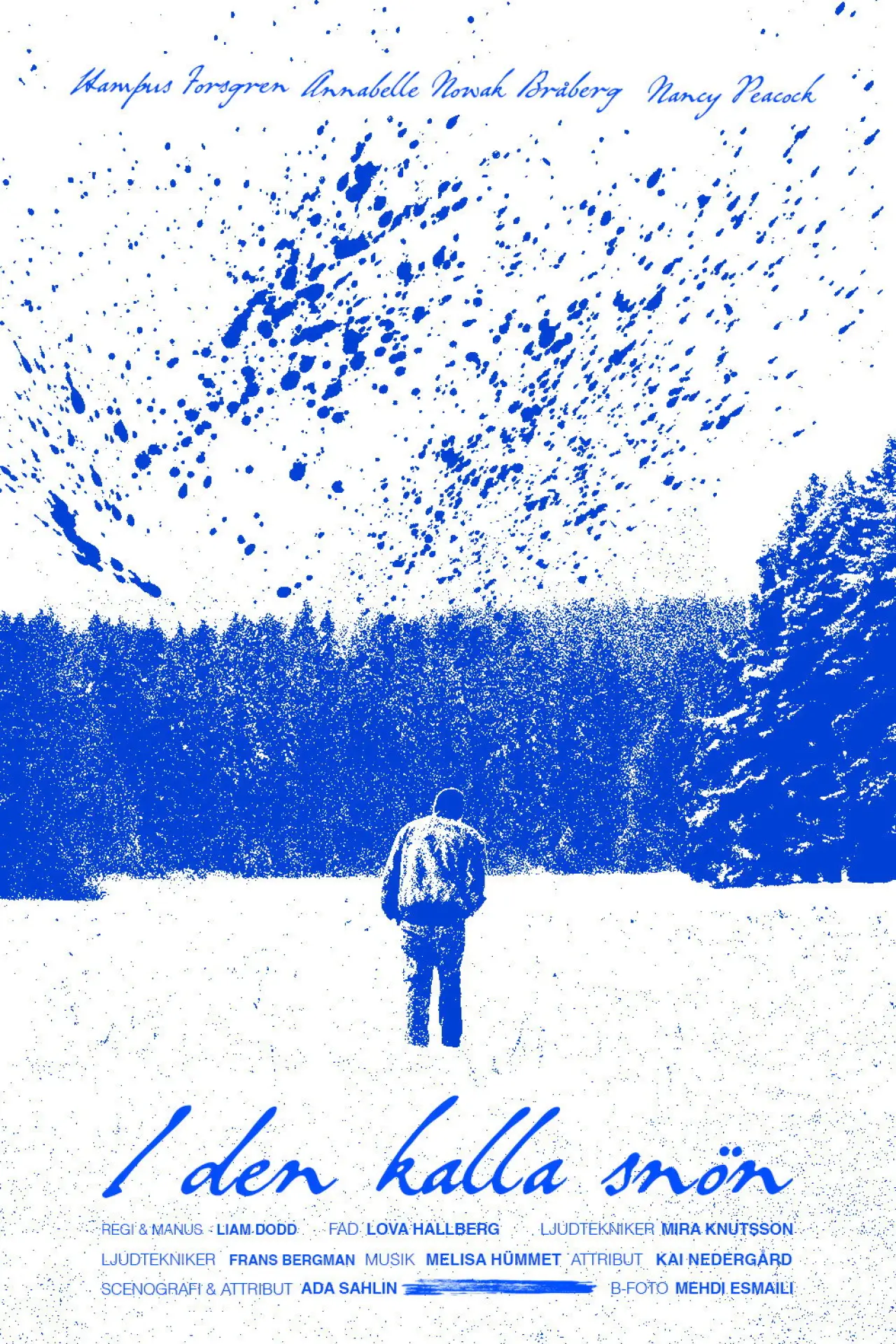 Постер к фильму "I den kalla snön"