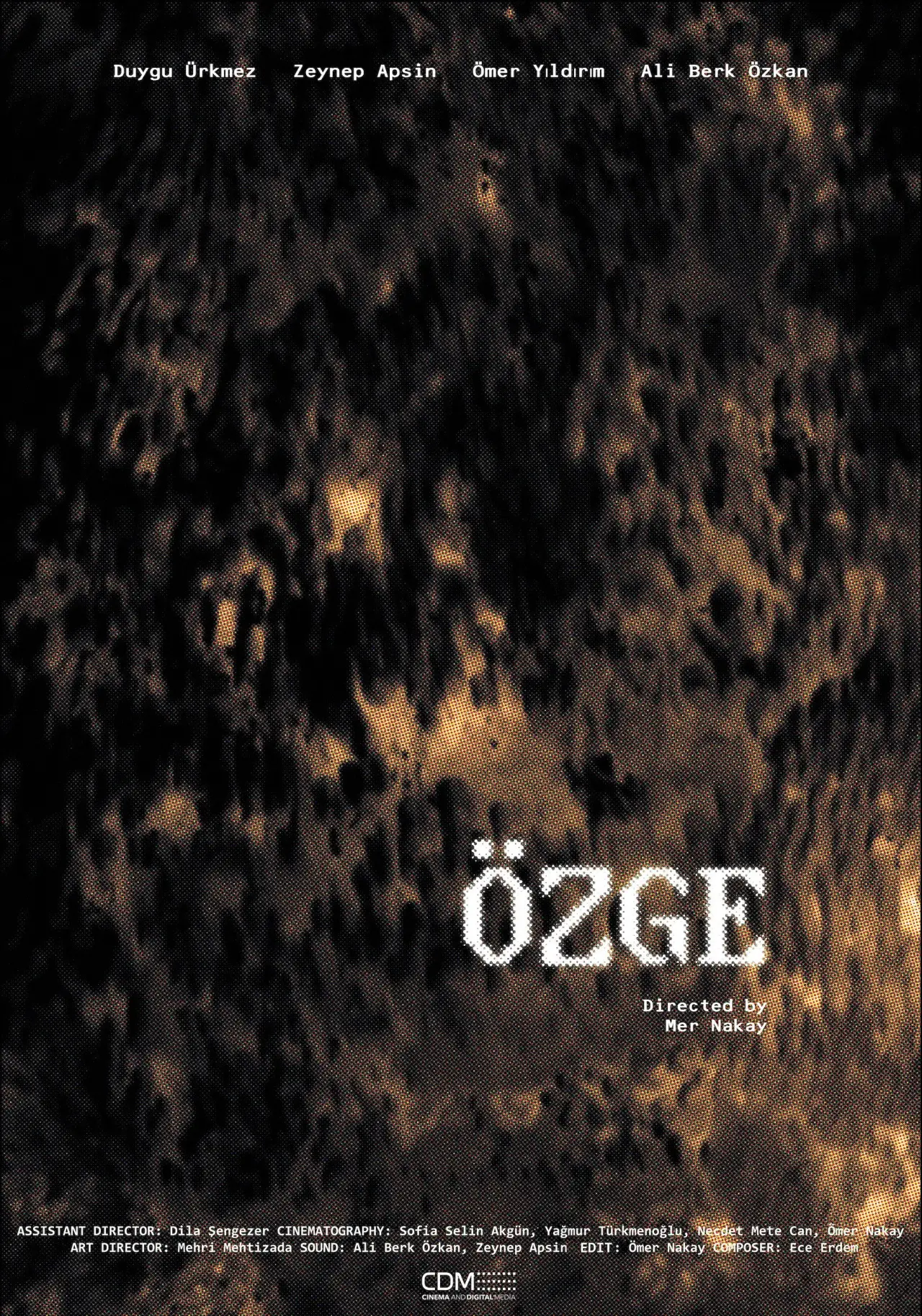 Постер к фильму "Özge"