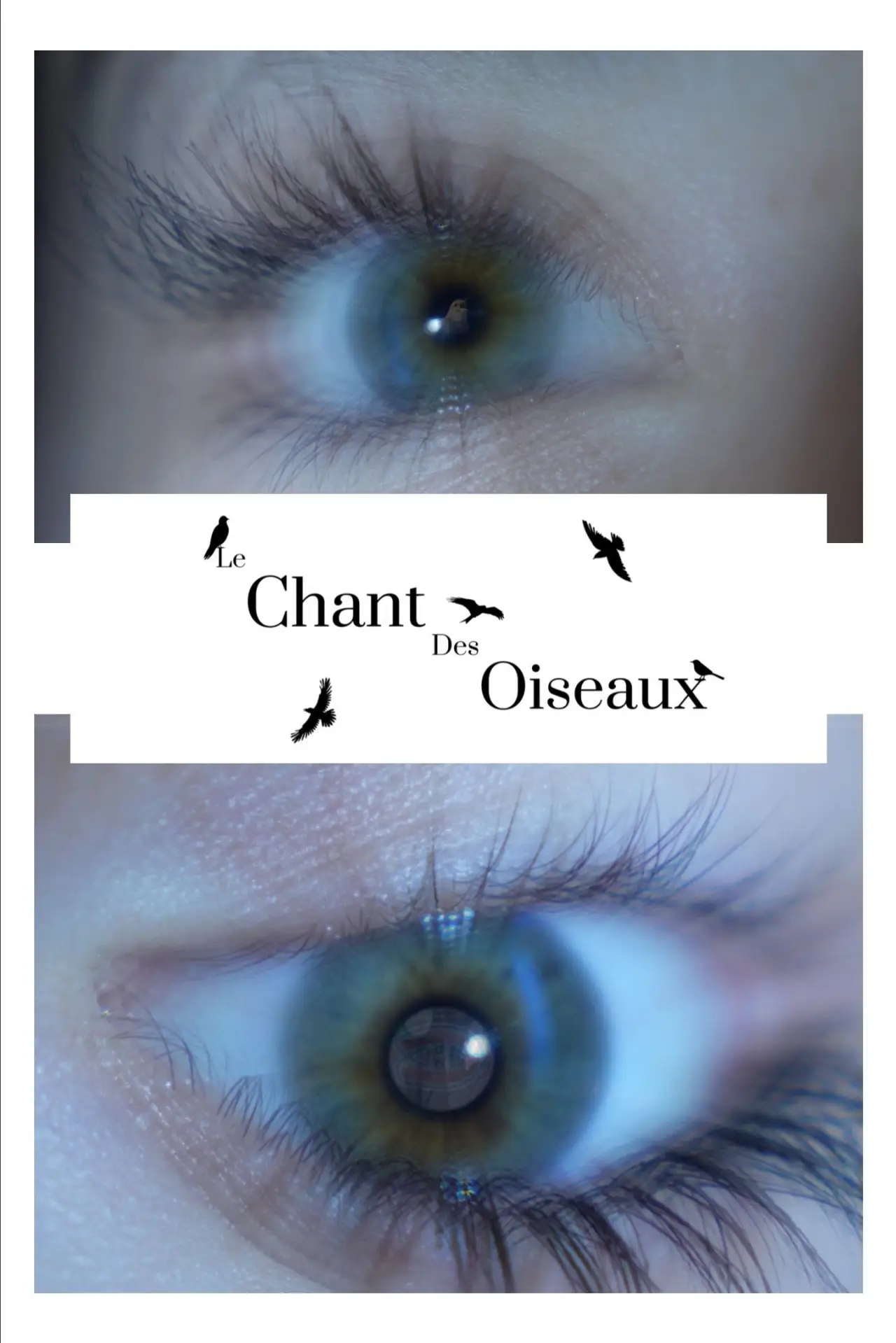 Постер к фильму "Le Chant Des Oiseaux"