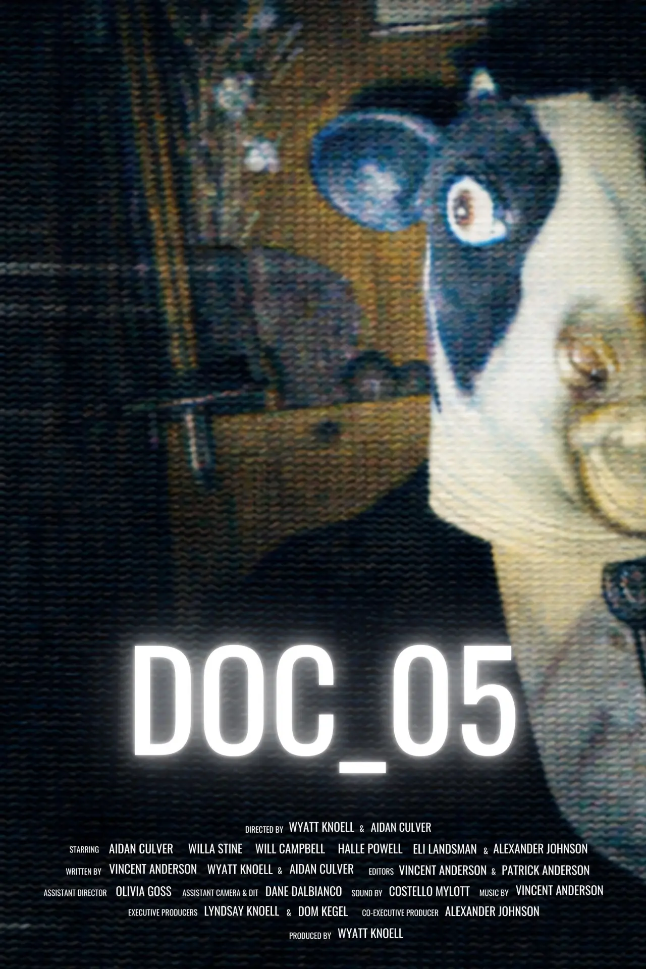Постер к фильму "DOC_05"