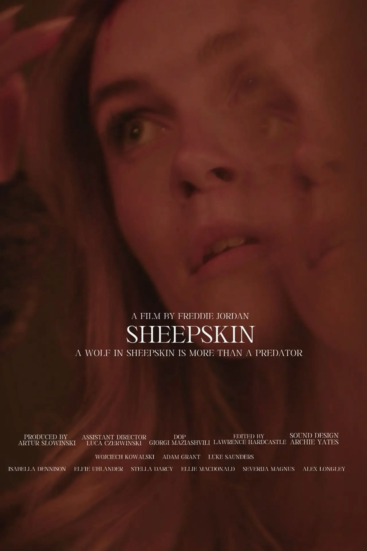 Постер к фильму "Sheepskin"