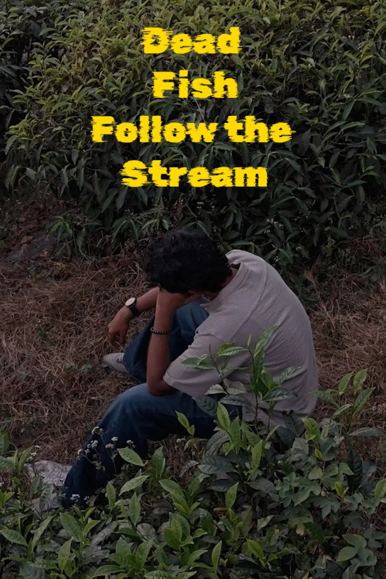 Постер к фильму "Dead Fish Follow the Stream"