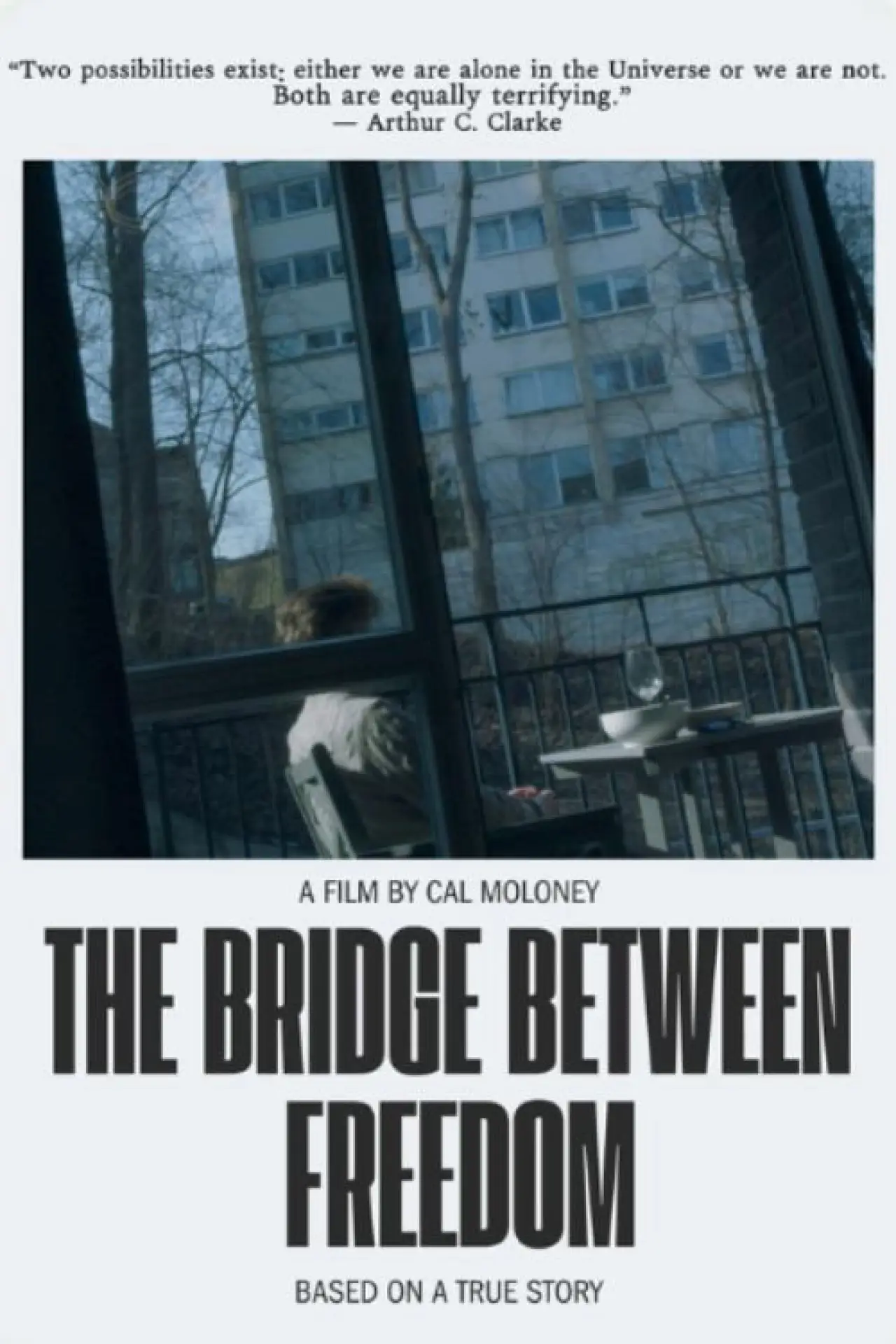 Постер к фильму "The Bridge Between Freedom"