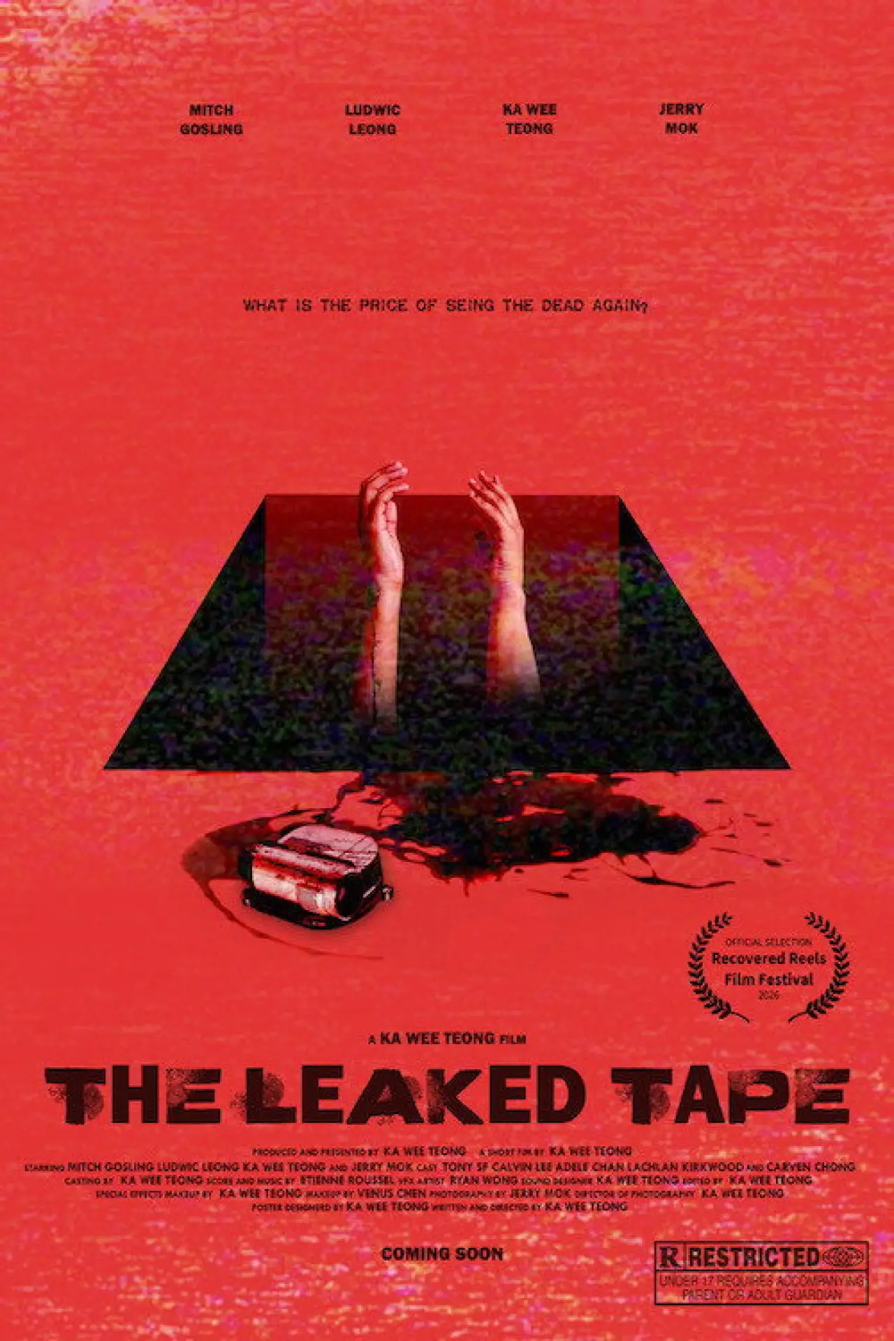 Постер к фильму "The Leaked Tape"