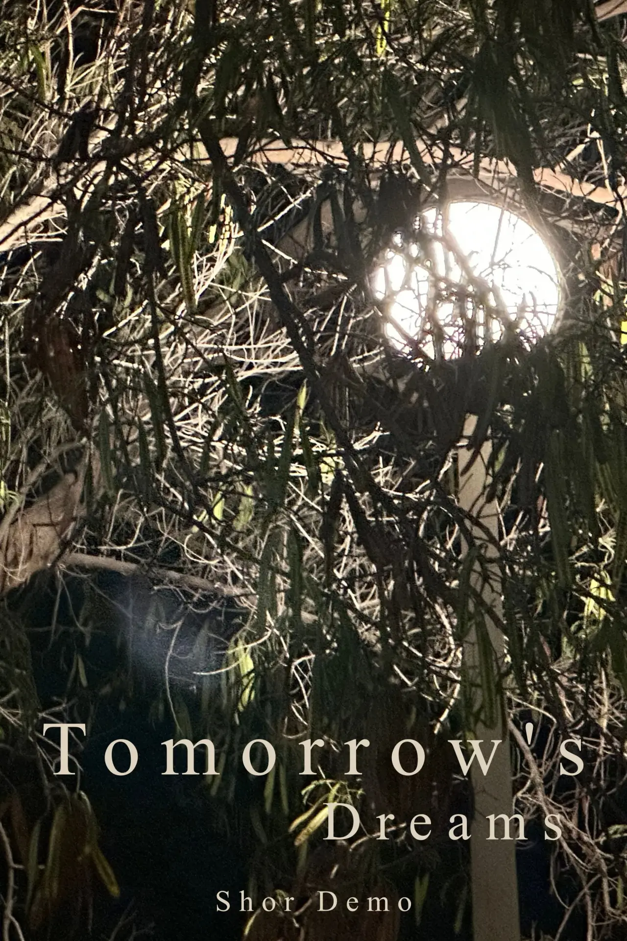 Постер к фильму "Tomorrow