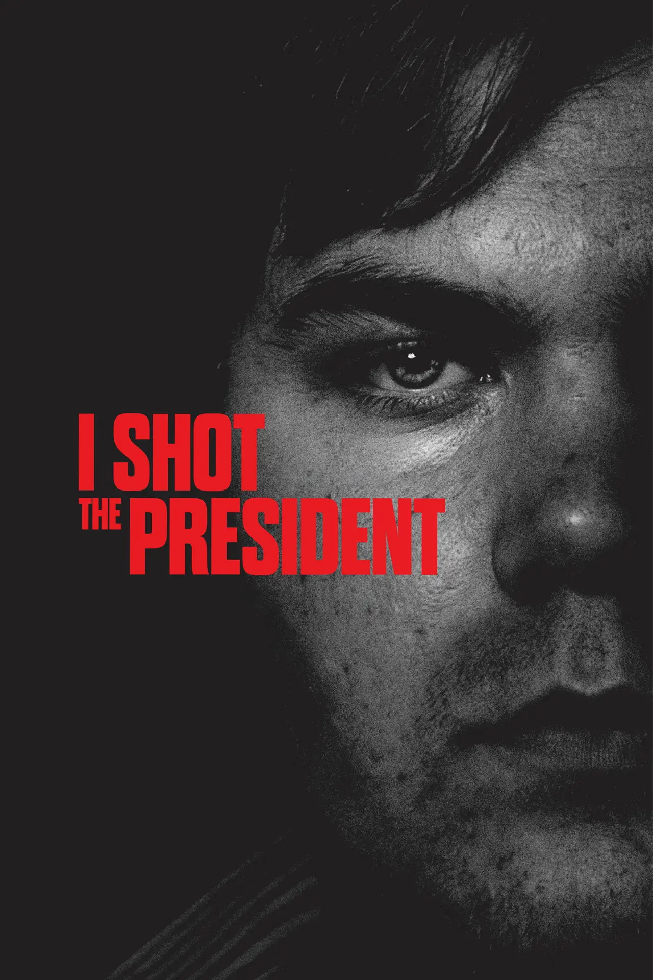 Постер к фильму "I Shot the President"
