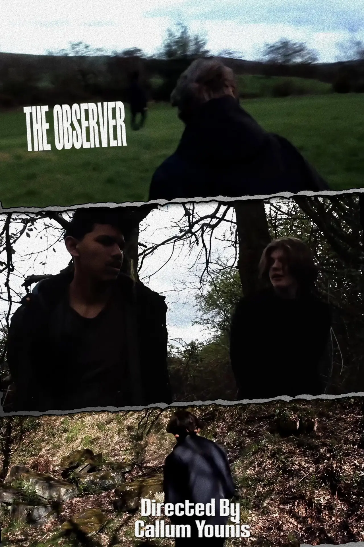 Постер к фильму "The Observer"