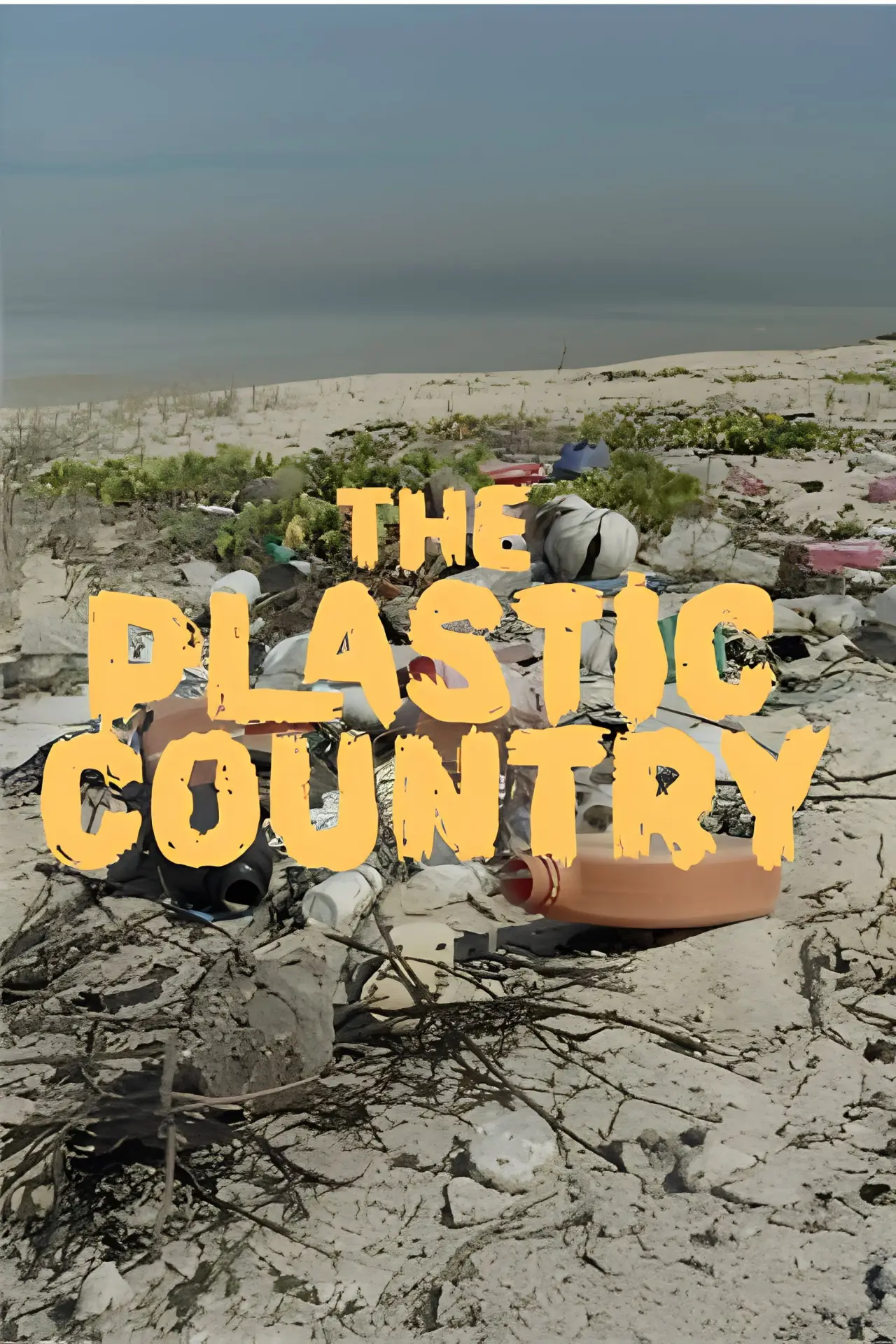 Постер к фильму "The Plastic Country"