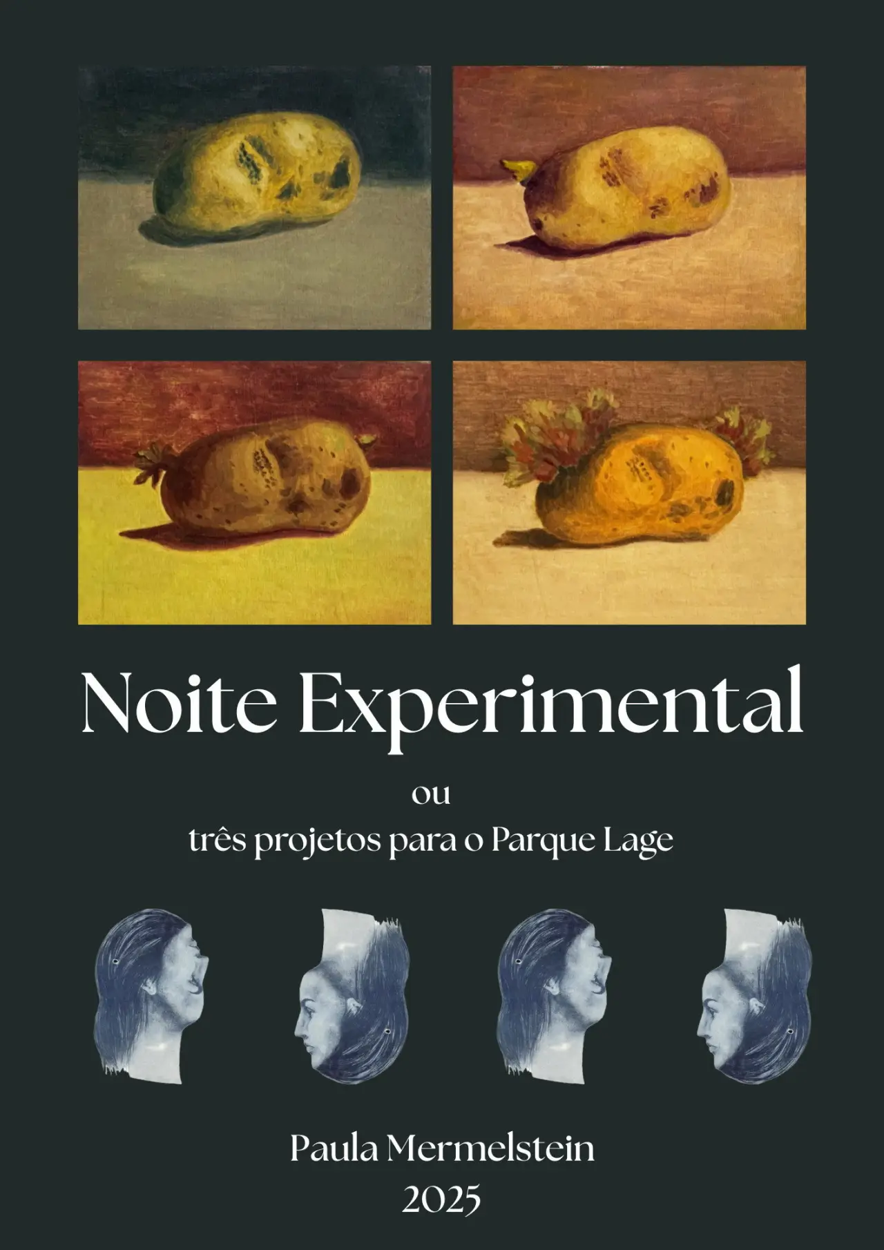 Постер к фильму "Noite Experimental"
