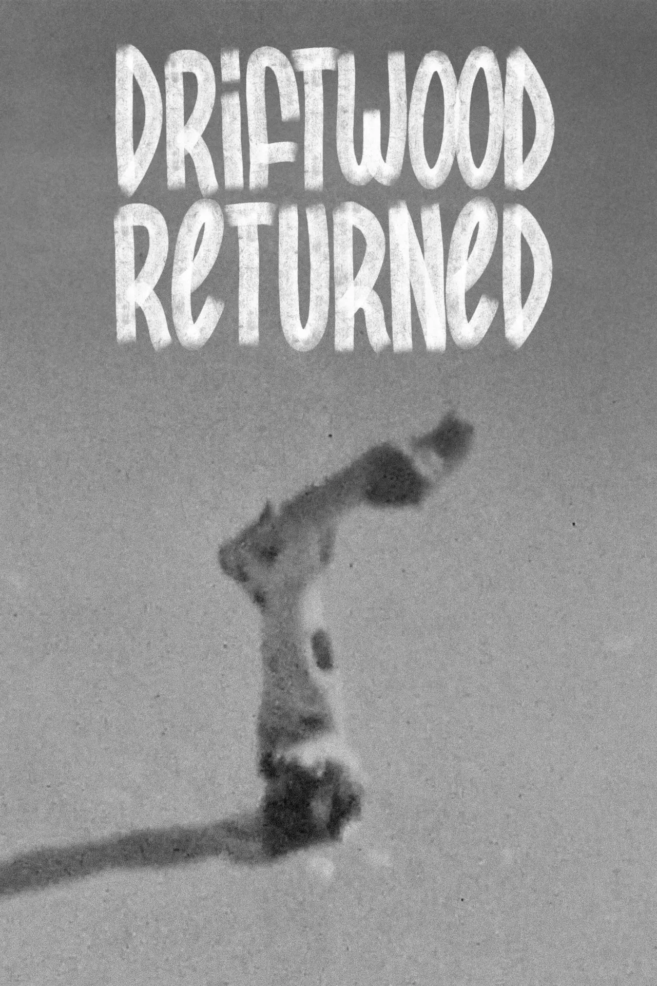 Постер к фильму "Driftwood Returned"