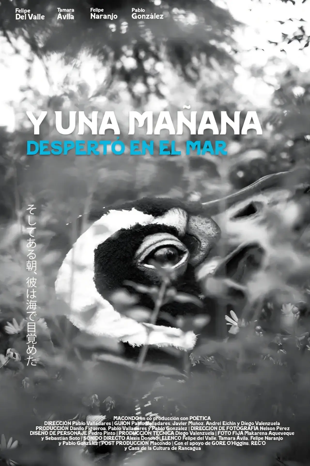 Постер к фильму "Y una mañana despertó en el mar"