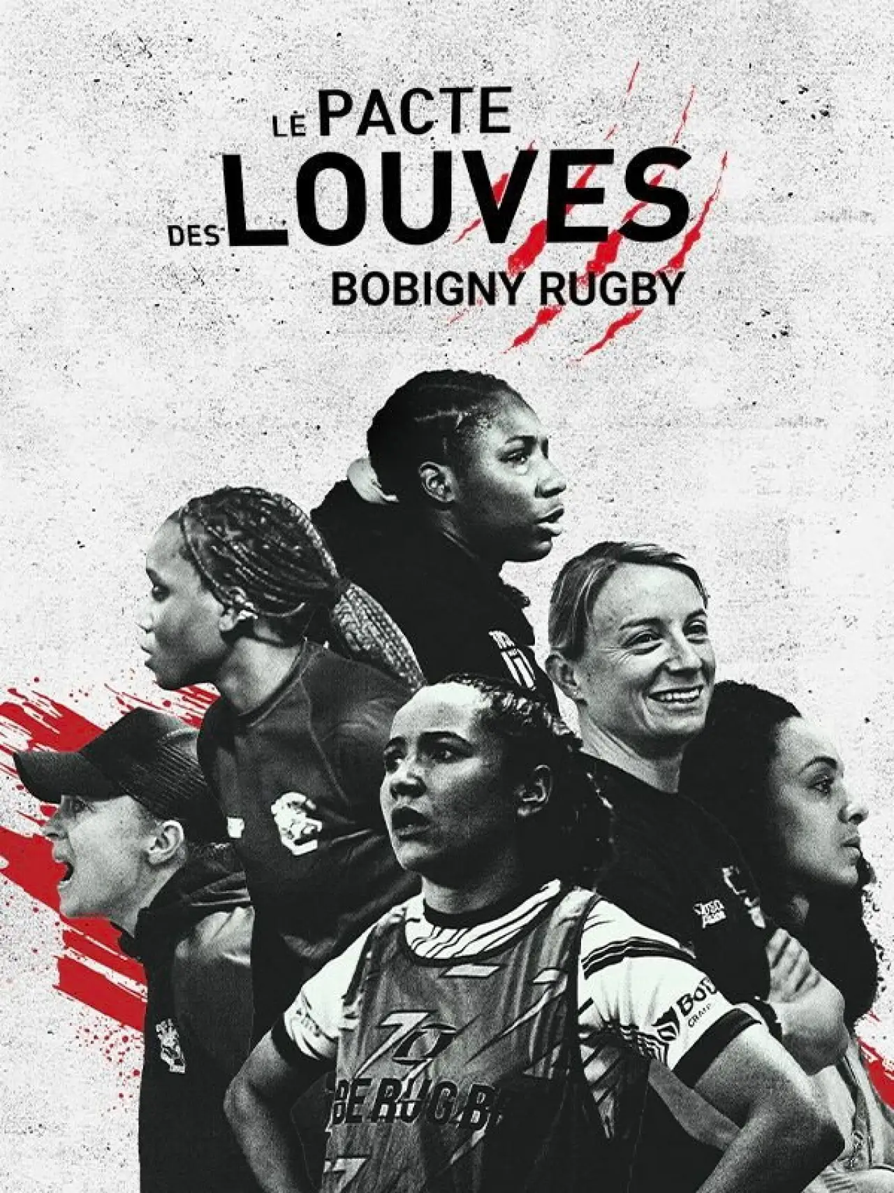 Постер к фильму "Le pacte des Louves"
