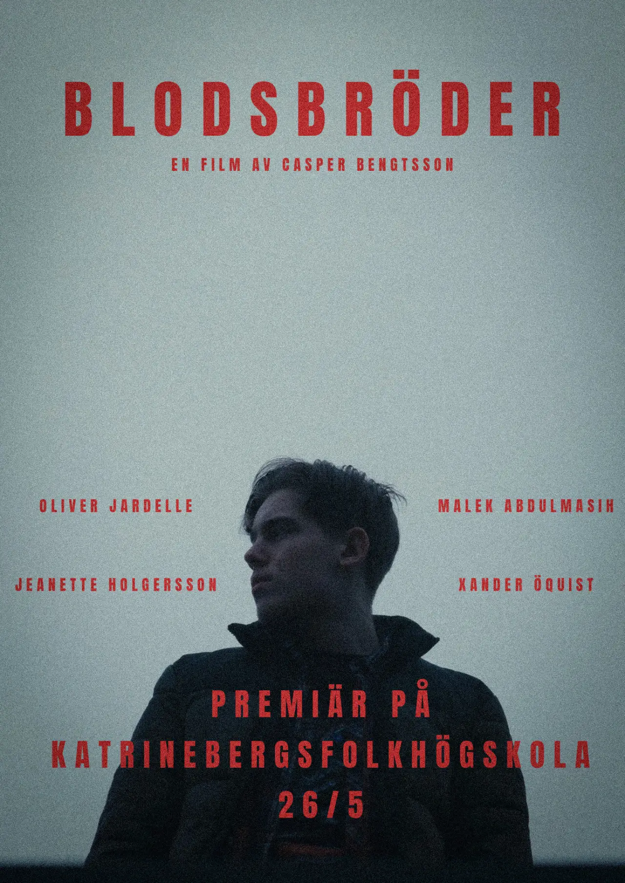 Постер к фильму "Blodsbröder"