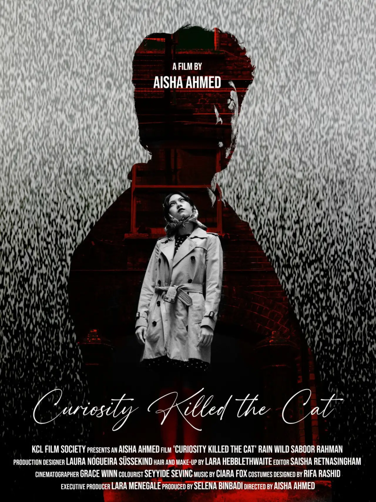 Постер к фильму "Curiosity Killed the Cat"