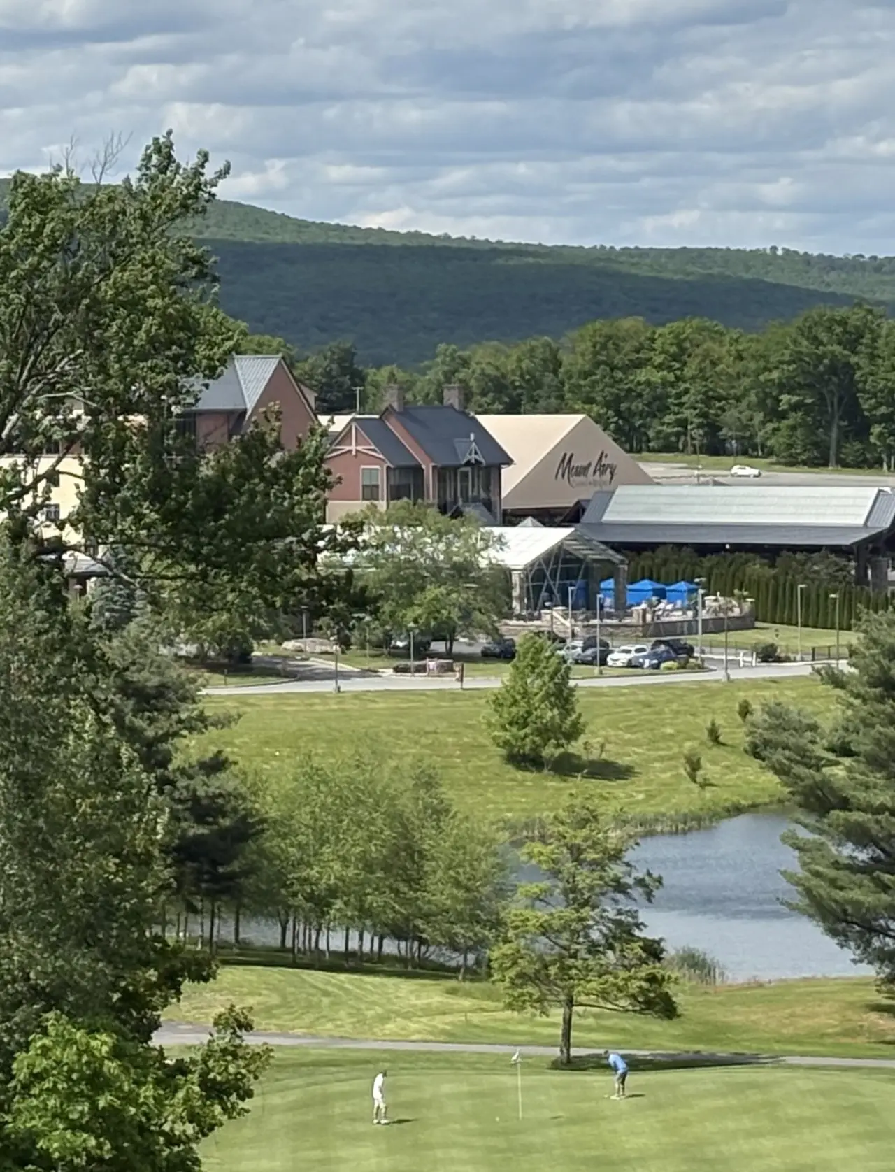 Постер к фильму "Mount Airy Hole Nine"