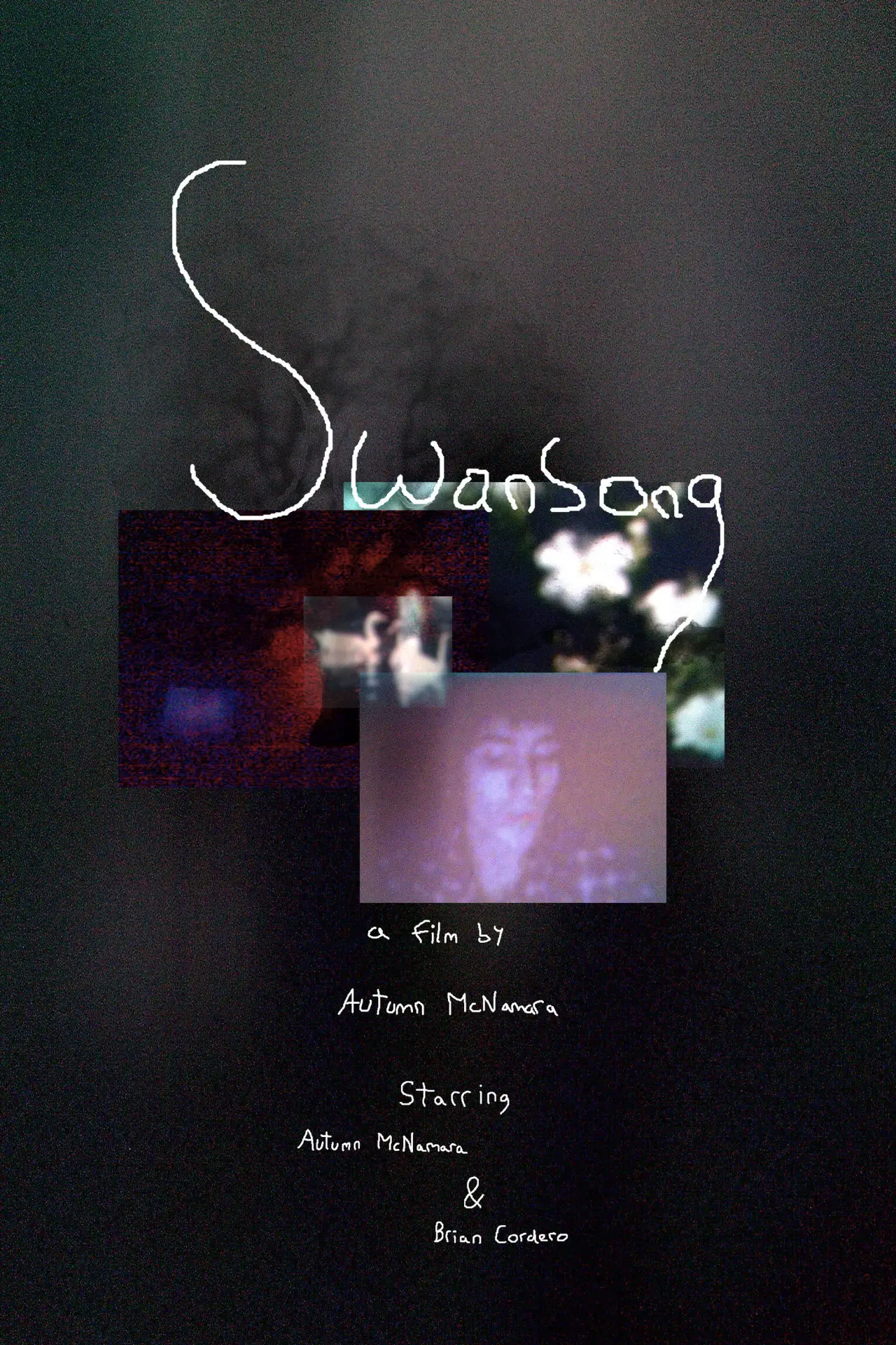 Постер к фильму "Swansong"
