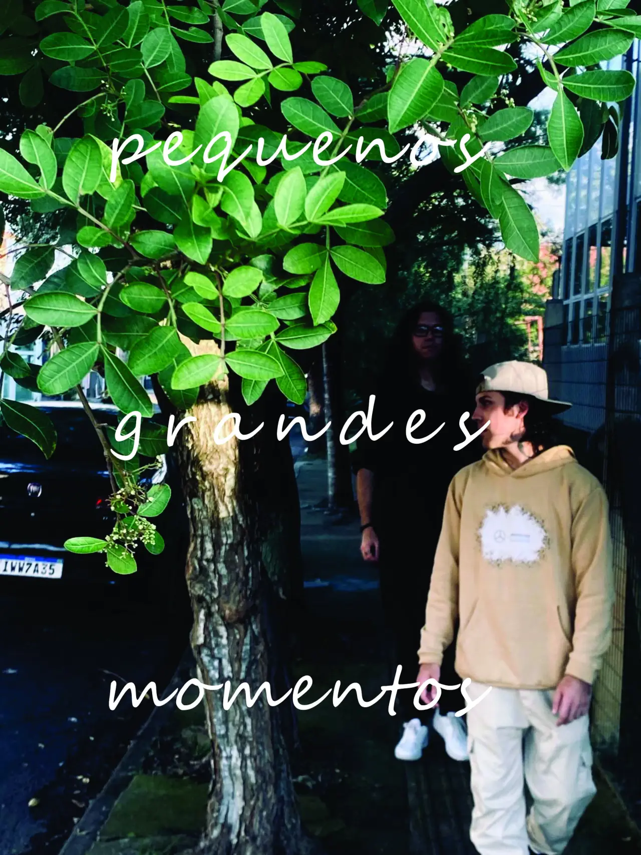 Постер к фильму "pequenos grandes momentos"