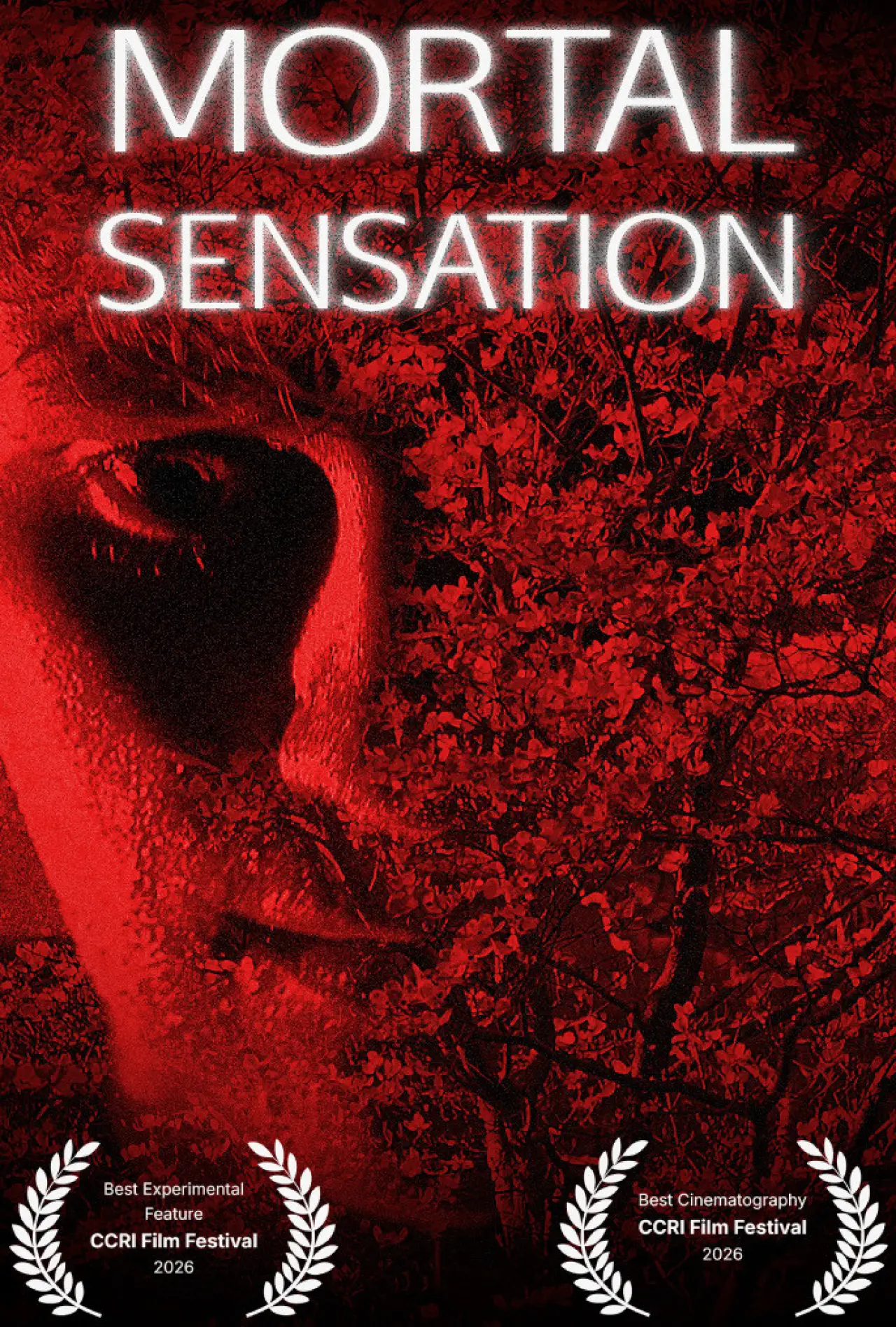 Постер к фильму "Mortal Sensation"