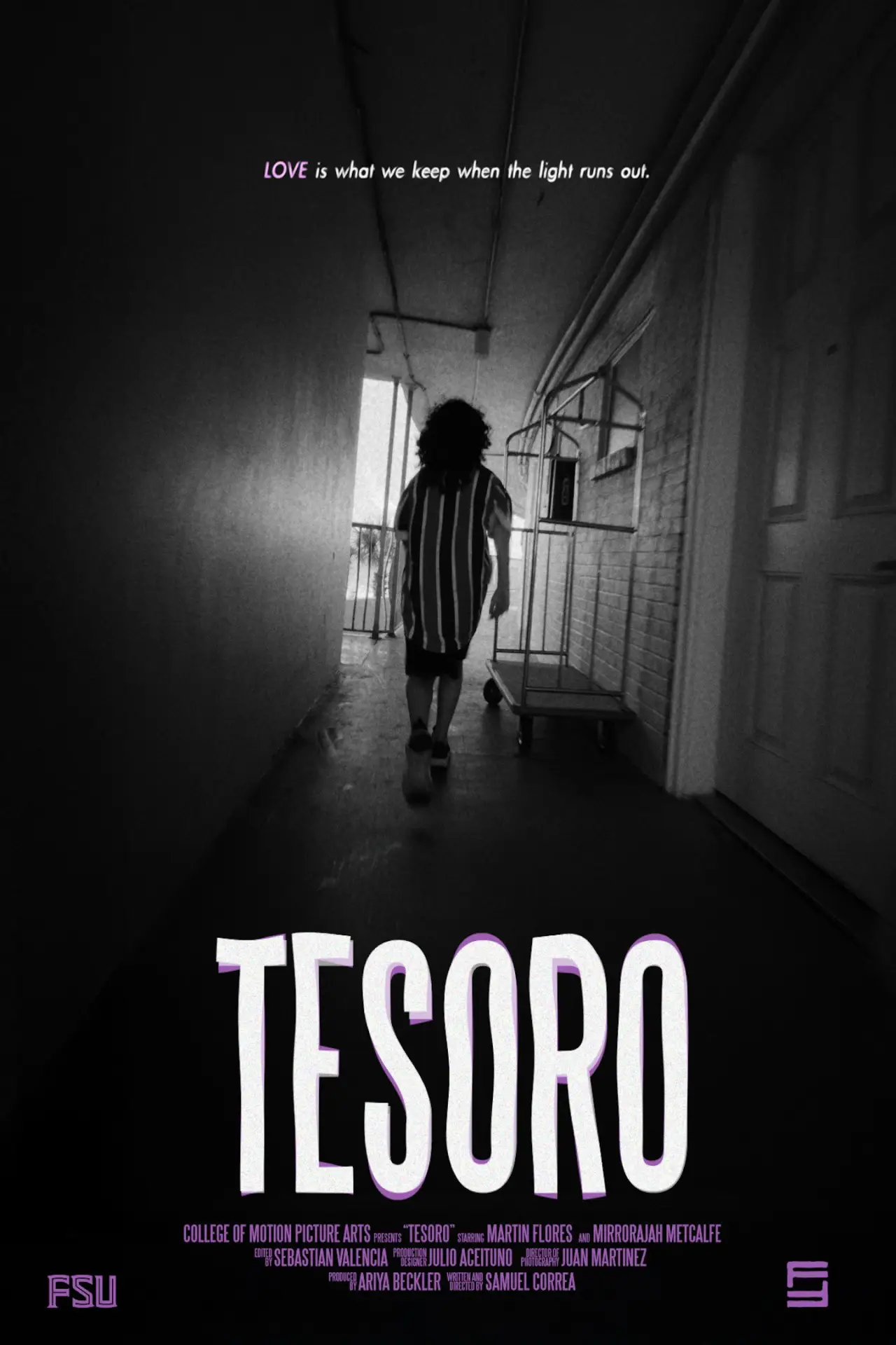 Постер к фильму "TESORO"