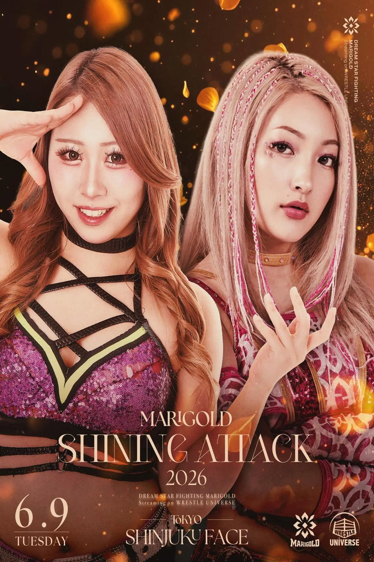 Постер к фильму "Marigold Shining Attack 2026 ~ Day 11"