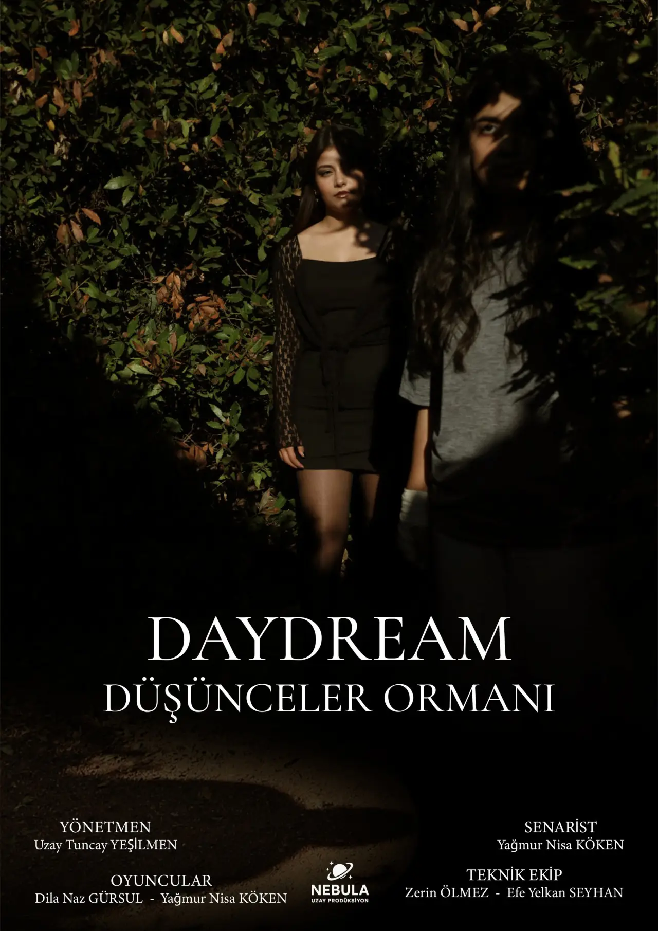 Постер к фильму "Daydream"