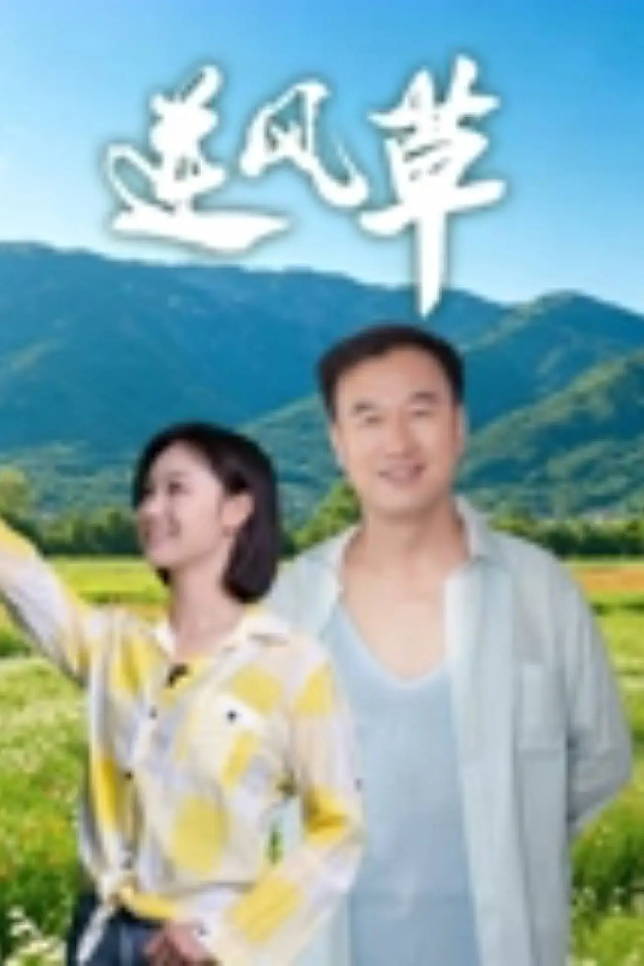 Постер к фильму "逆风草"