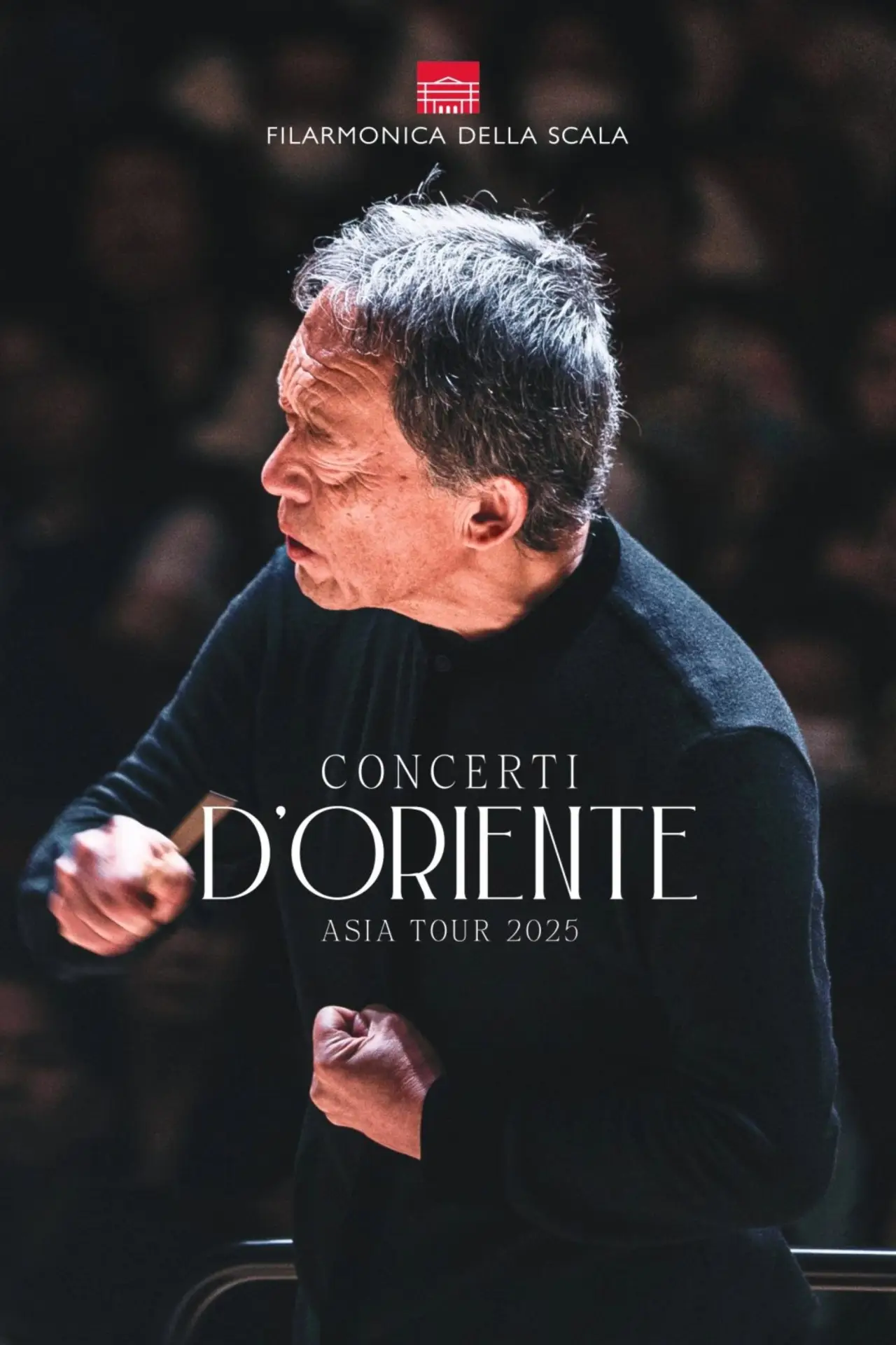 Постер к фильму "Concerti d