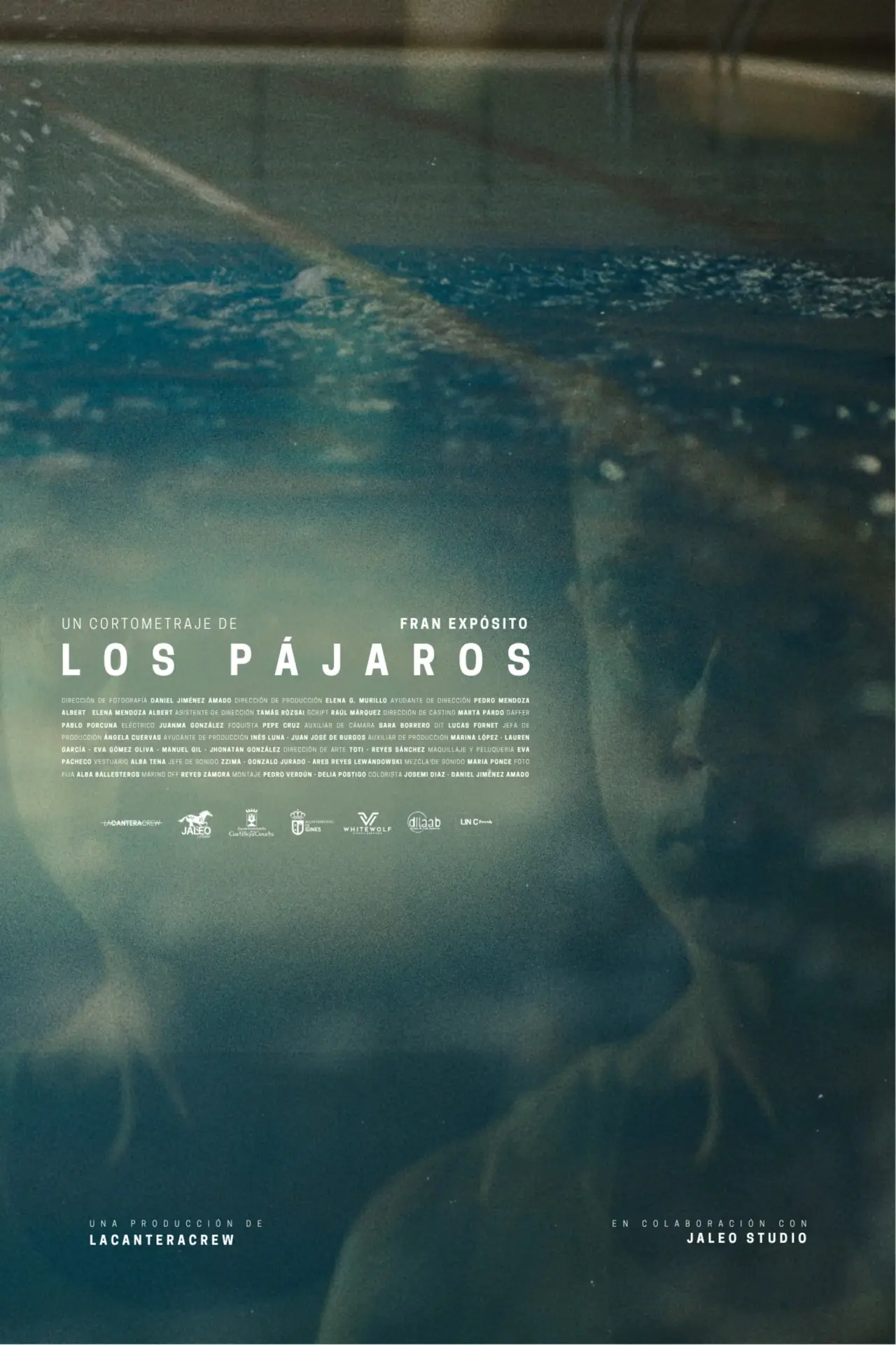 Постер к фильму "Los pájaros"