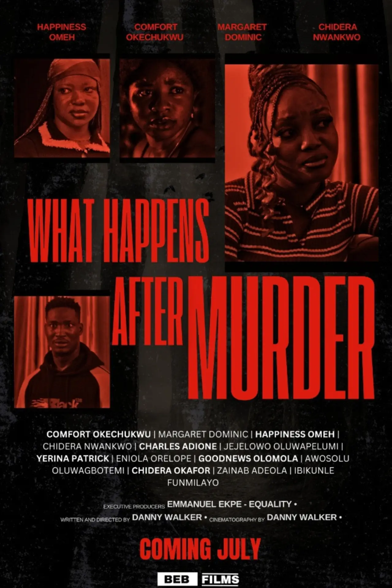 Постер к фильму "What Happens After Murder"