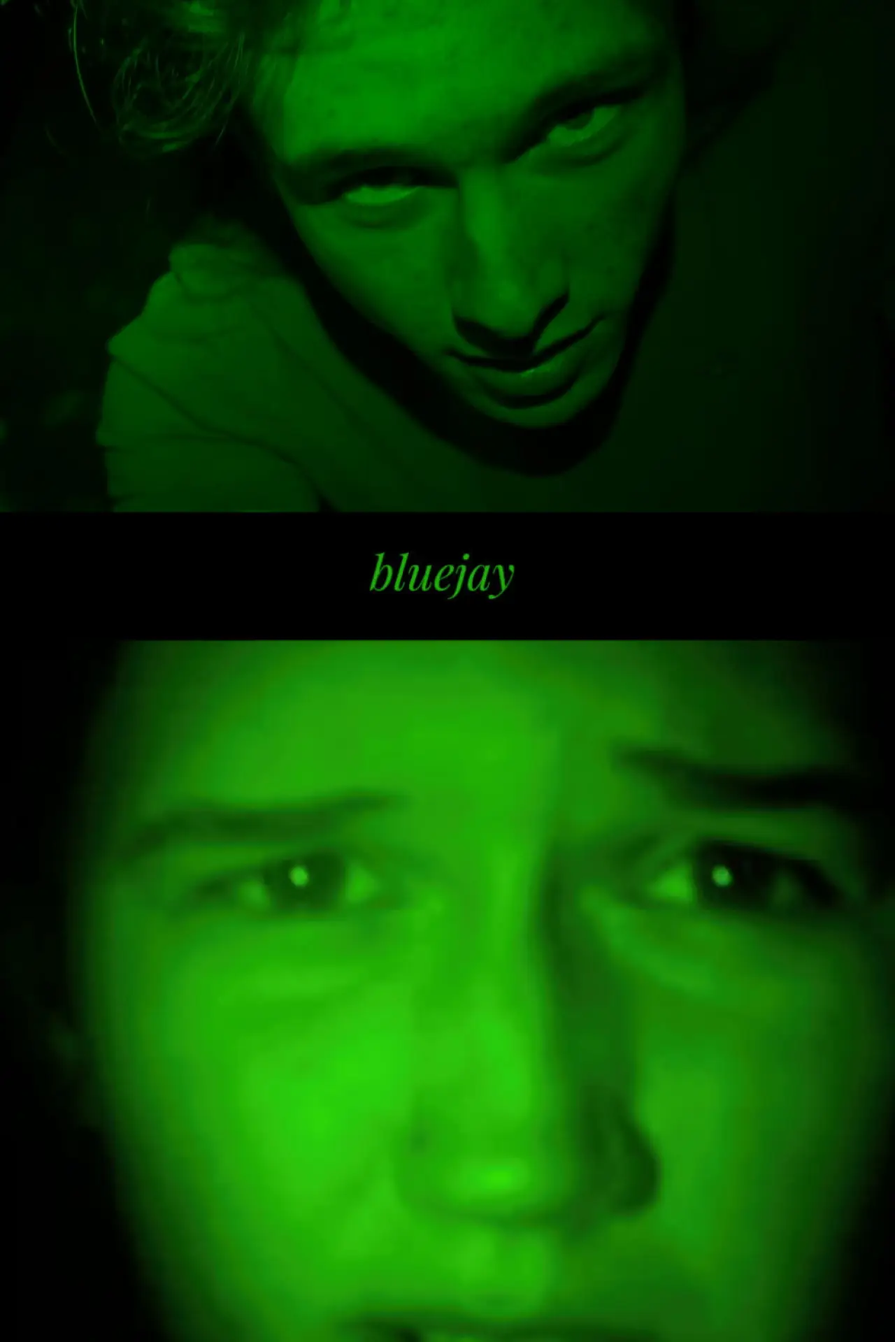 Постер к фильму "bluejay"