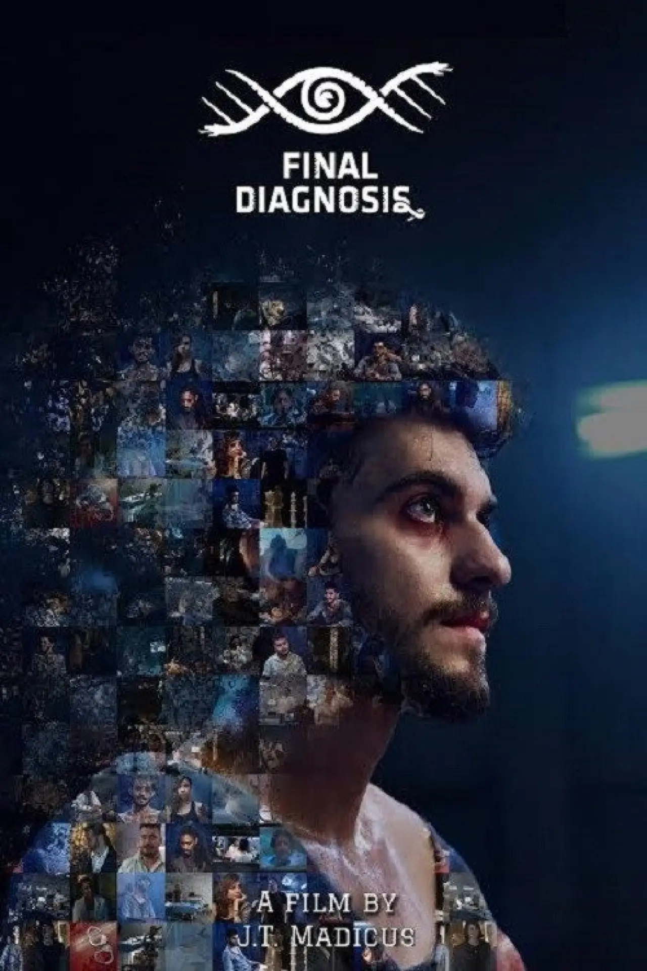 Постер к фильму "Final Diagnosis"