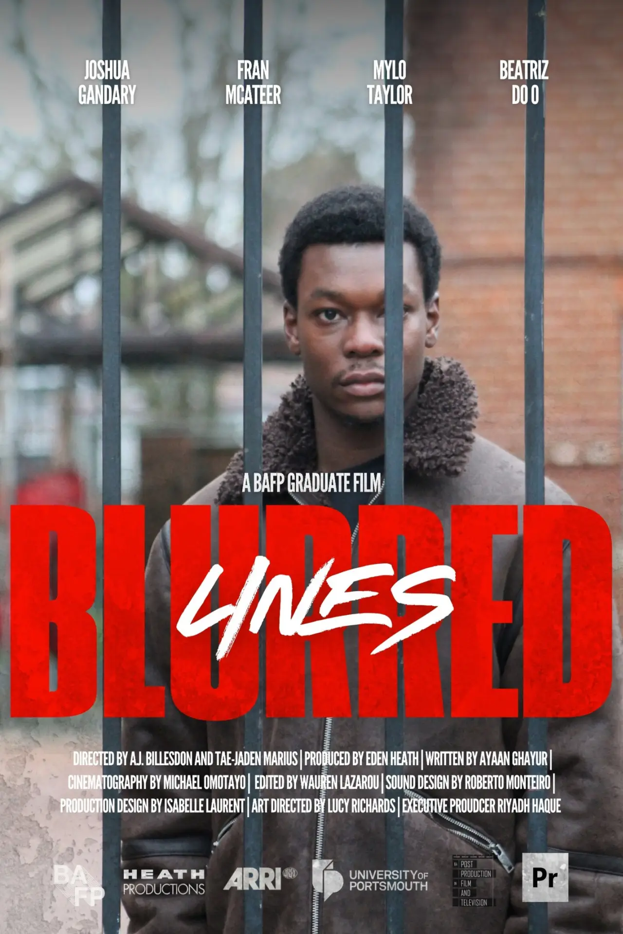 Постер к фильму "Blurred Lines"