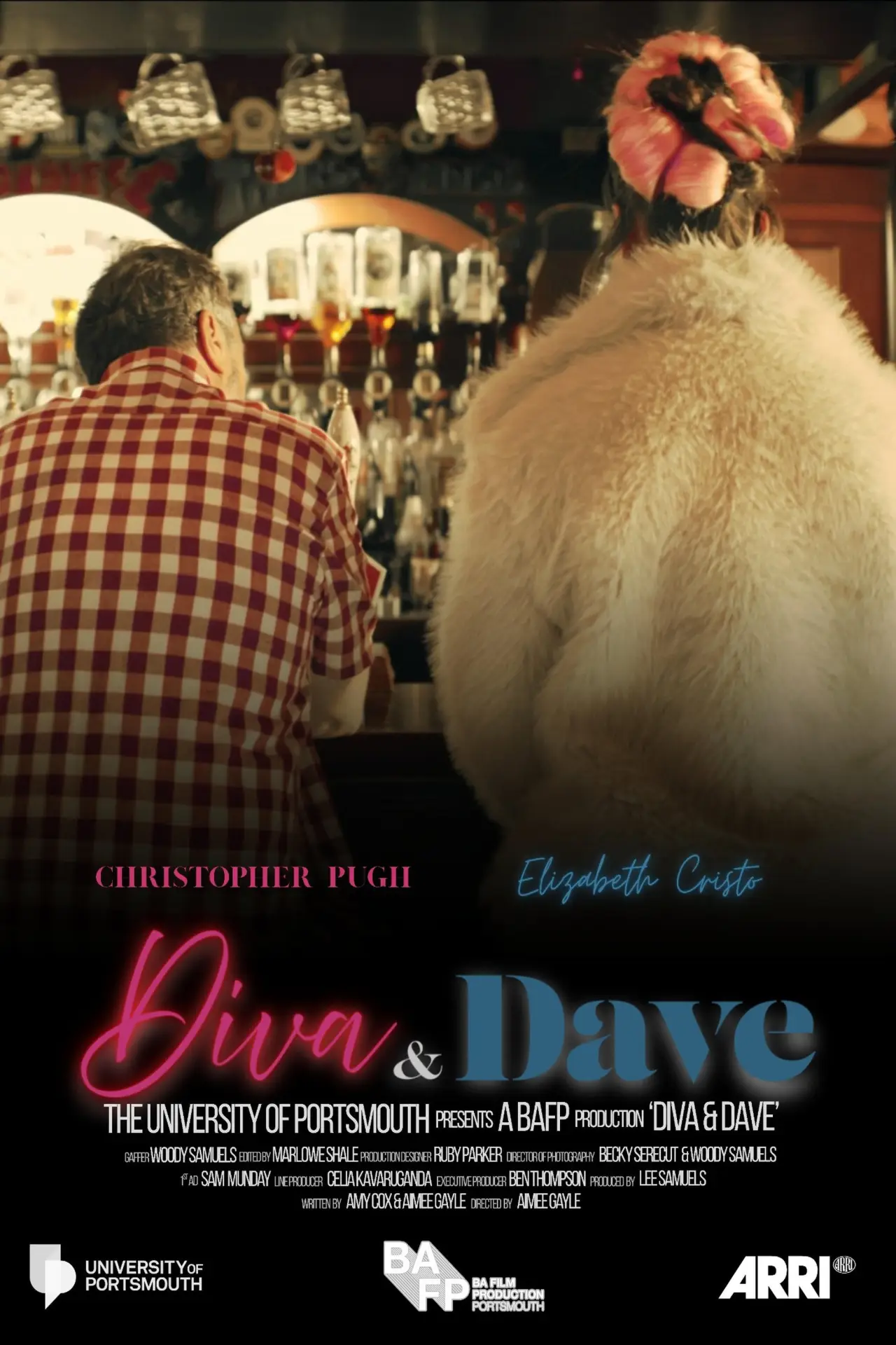 Постер к фильму "Diva and Dave"