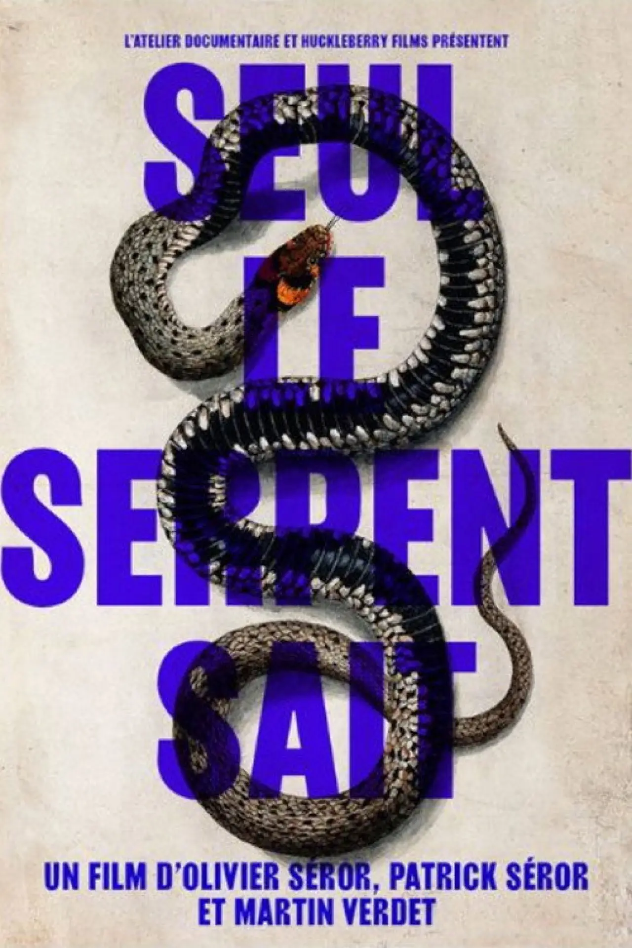 Постер к фильму "Seul le serpent sait"