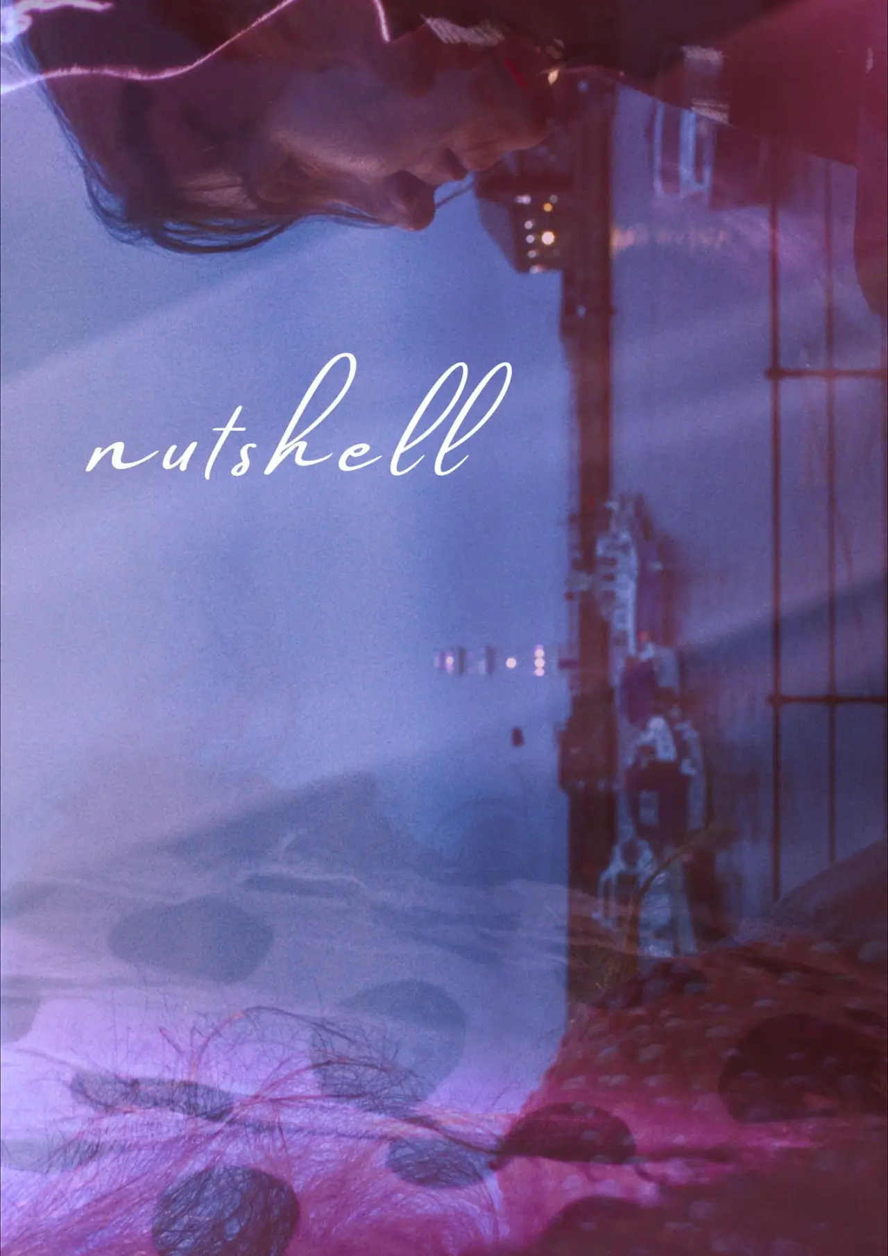 Постер к фильму "nutshell"