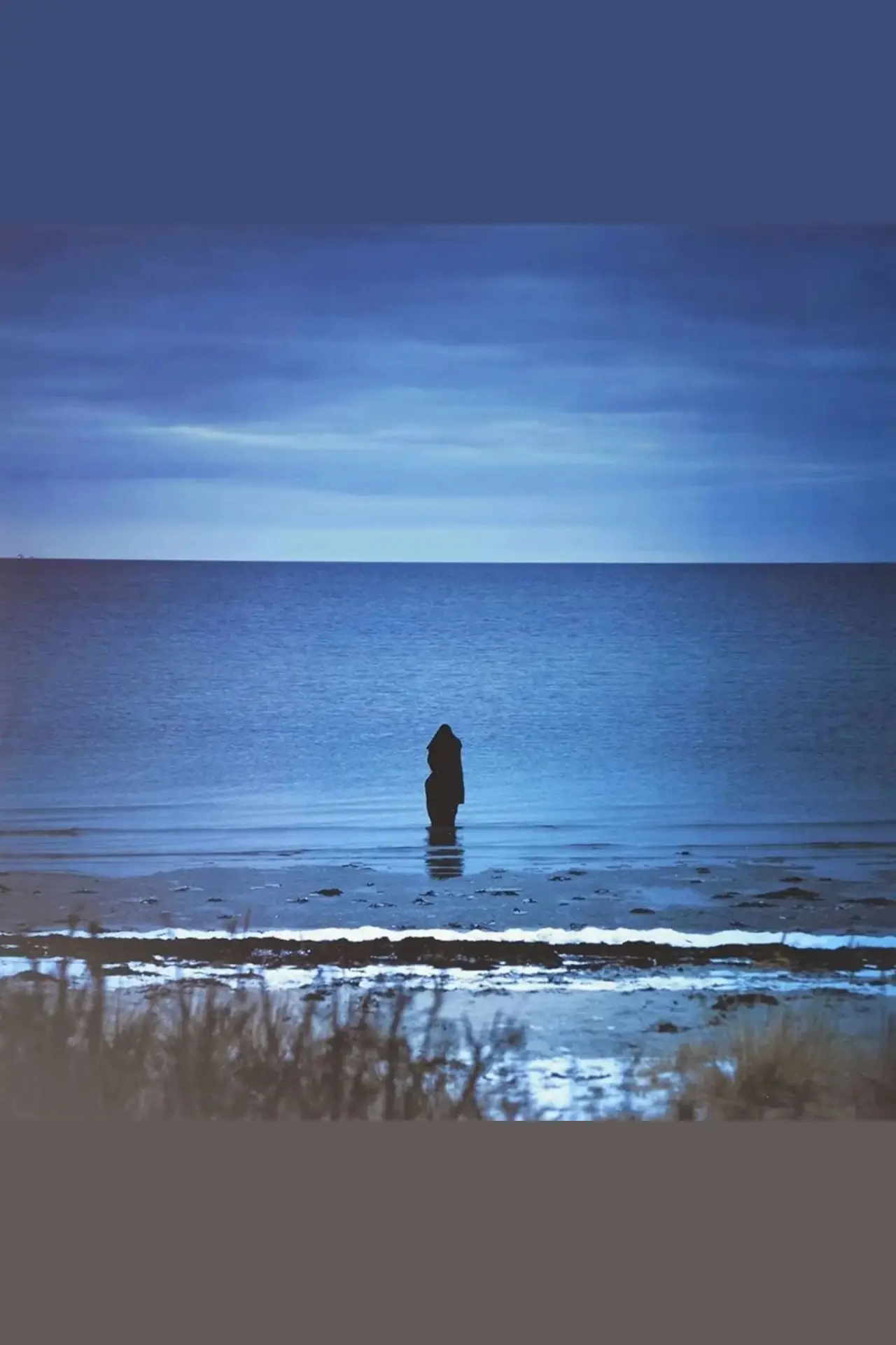 Постер к фильму "Steven Wilson: Catalogue / Preserve / Amass"