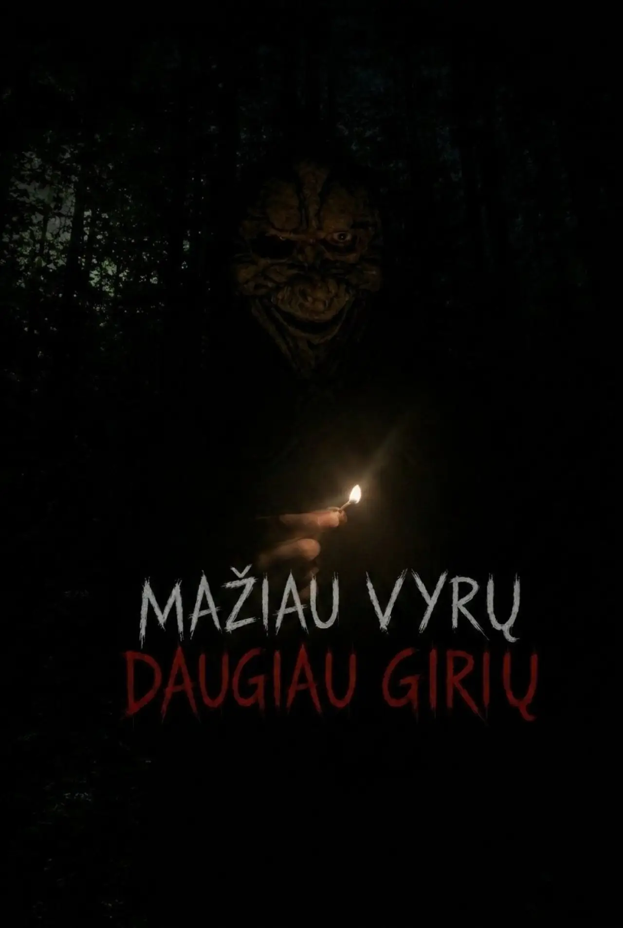 Постер к фильму "Mažiau vyrų, daugiau girių"