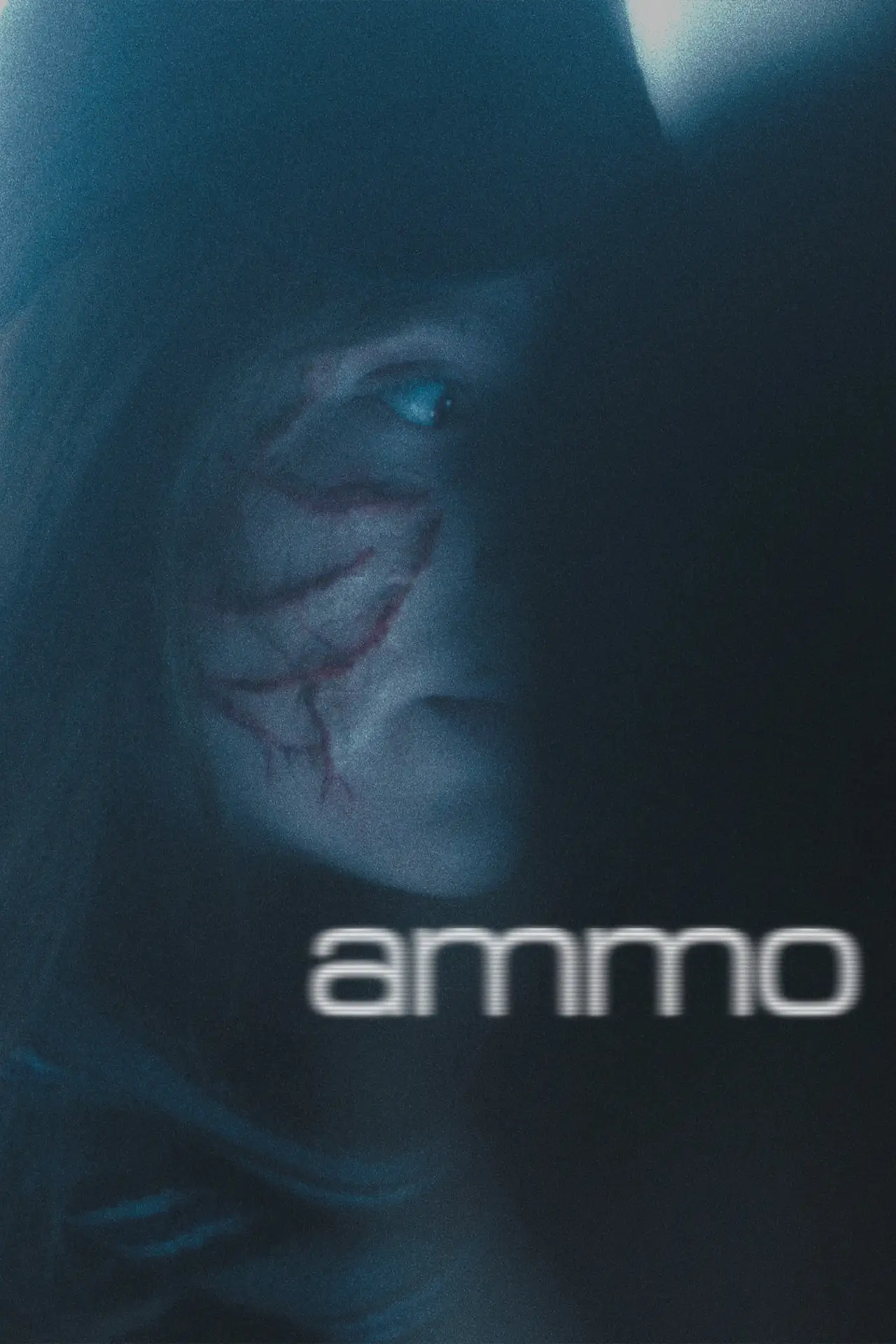 Постер к фильму "ammo"