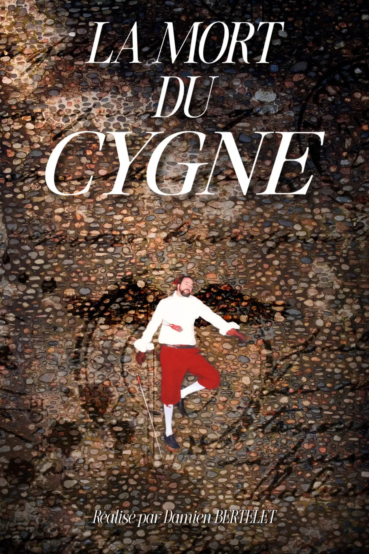 Постер к фильму "La Mort du Cygne"