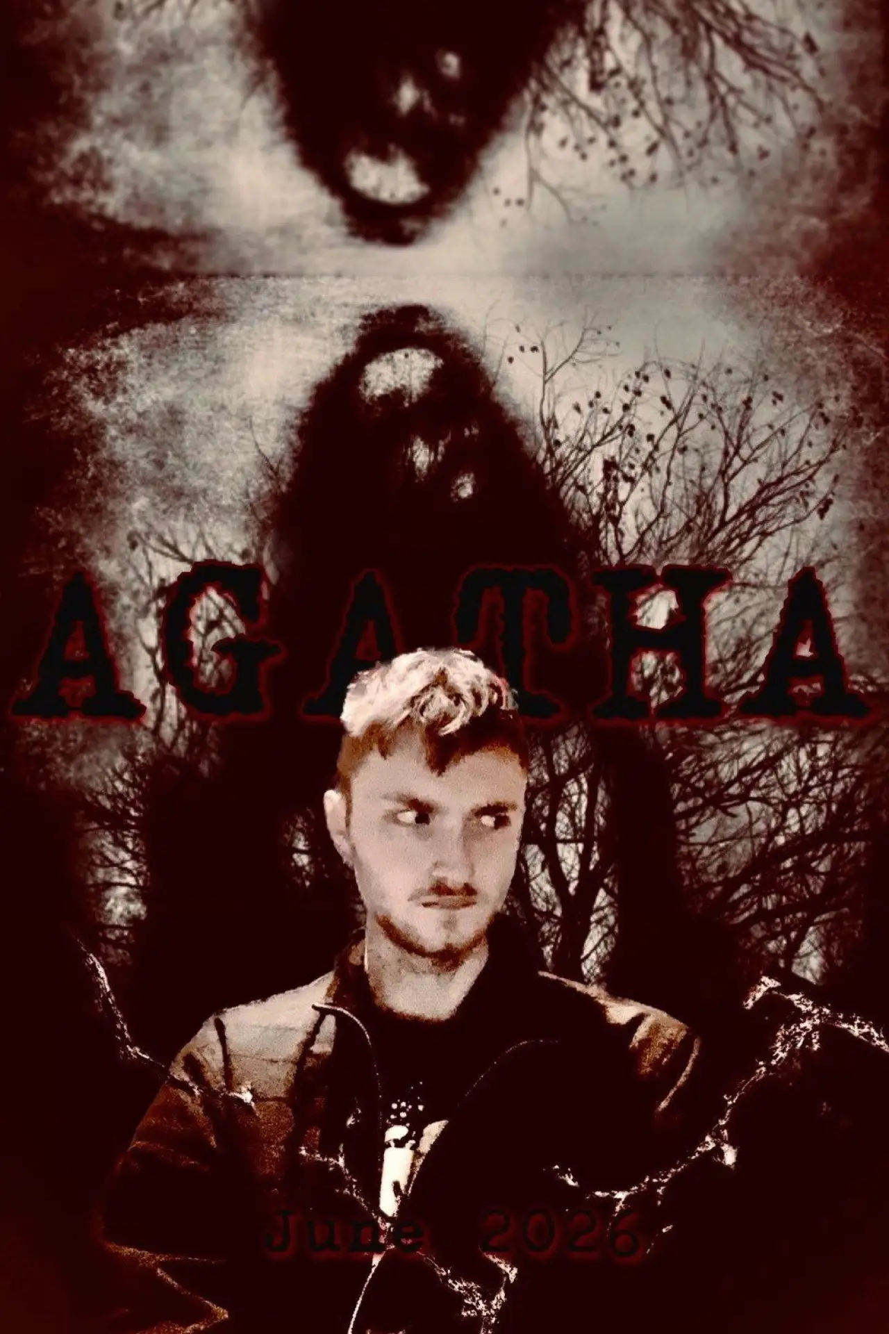 Постер к фильму "Agatha"