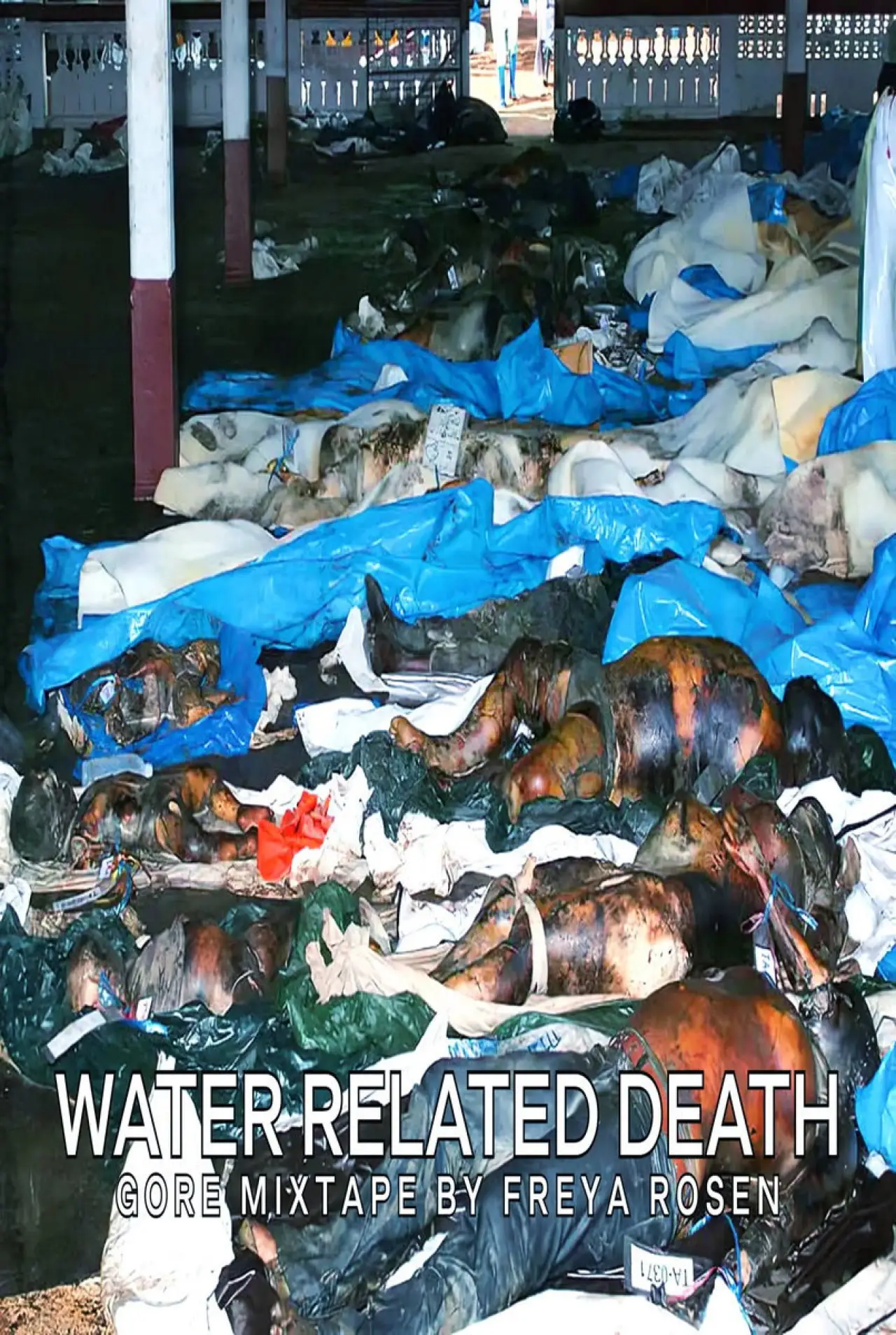 Постер к фильму "Water Related Death"