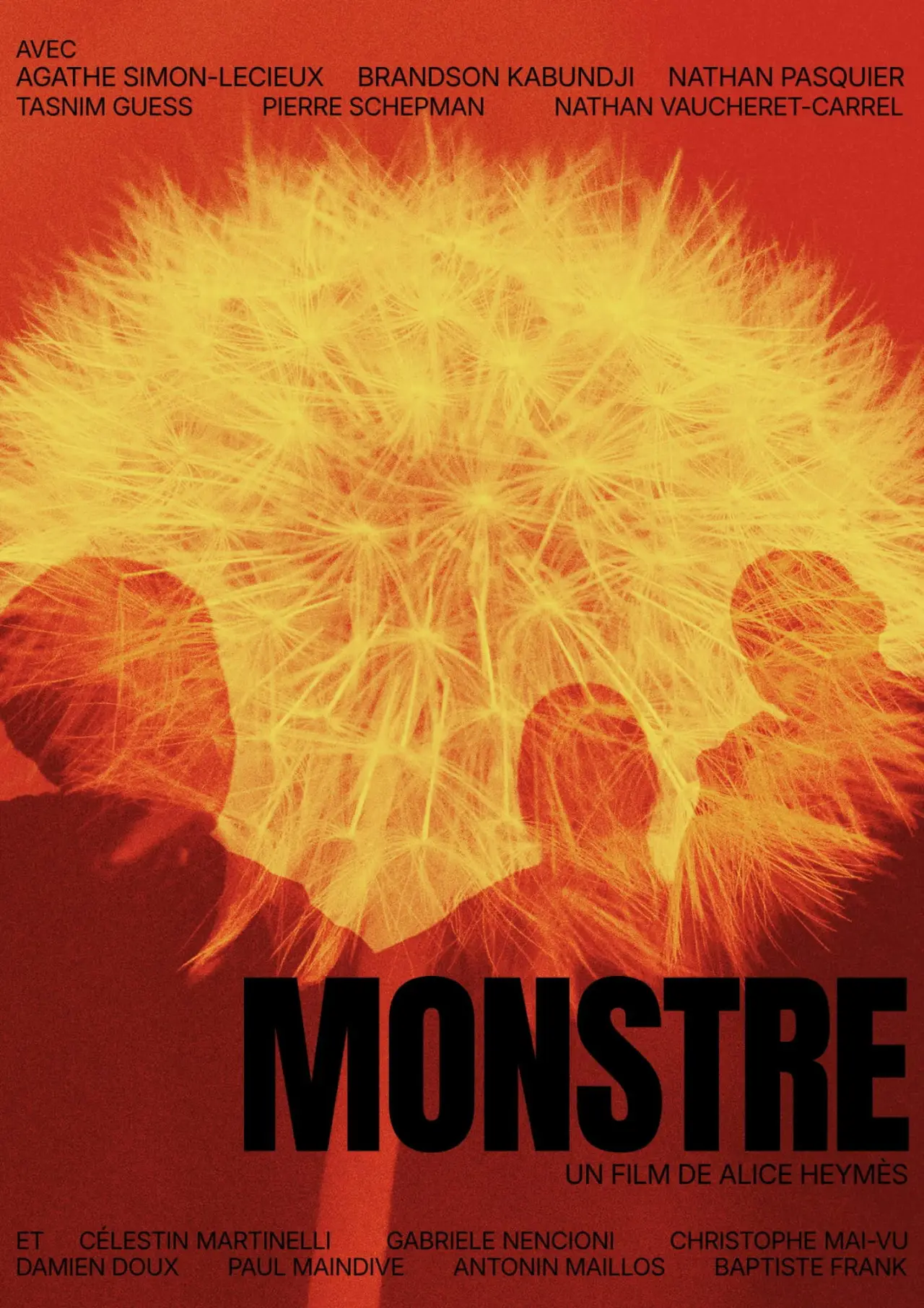 Постер к фильму "Monstre"