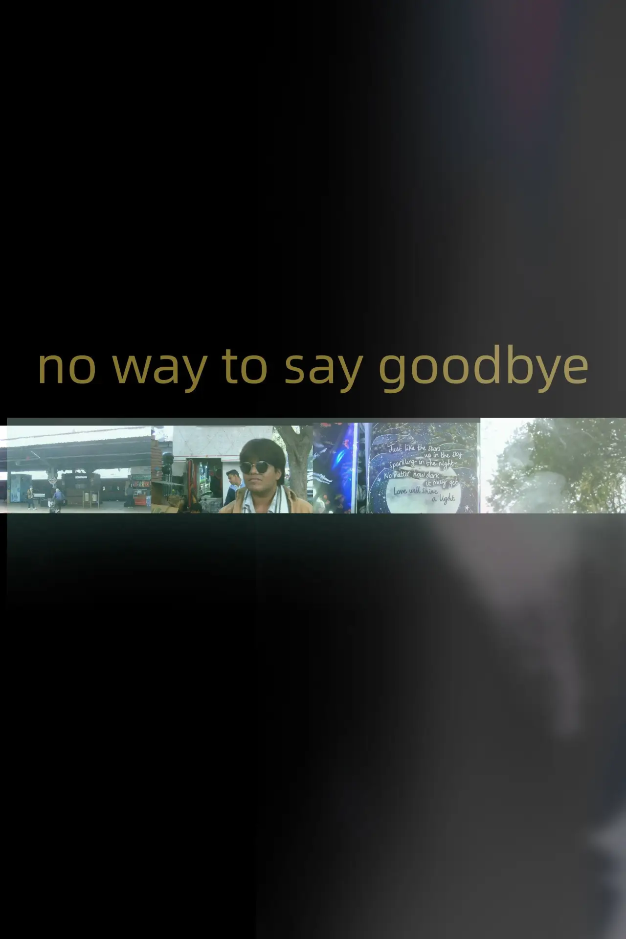 Постер к фильму "no way to say goodbye"