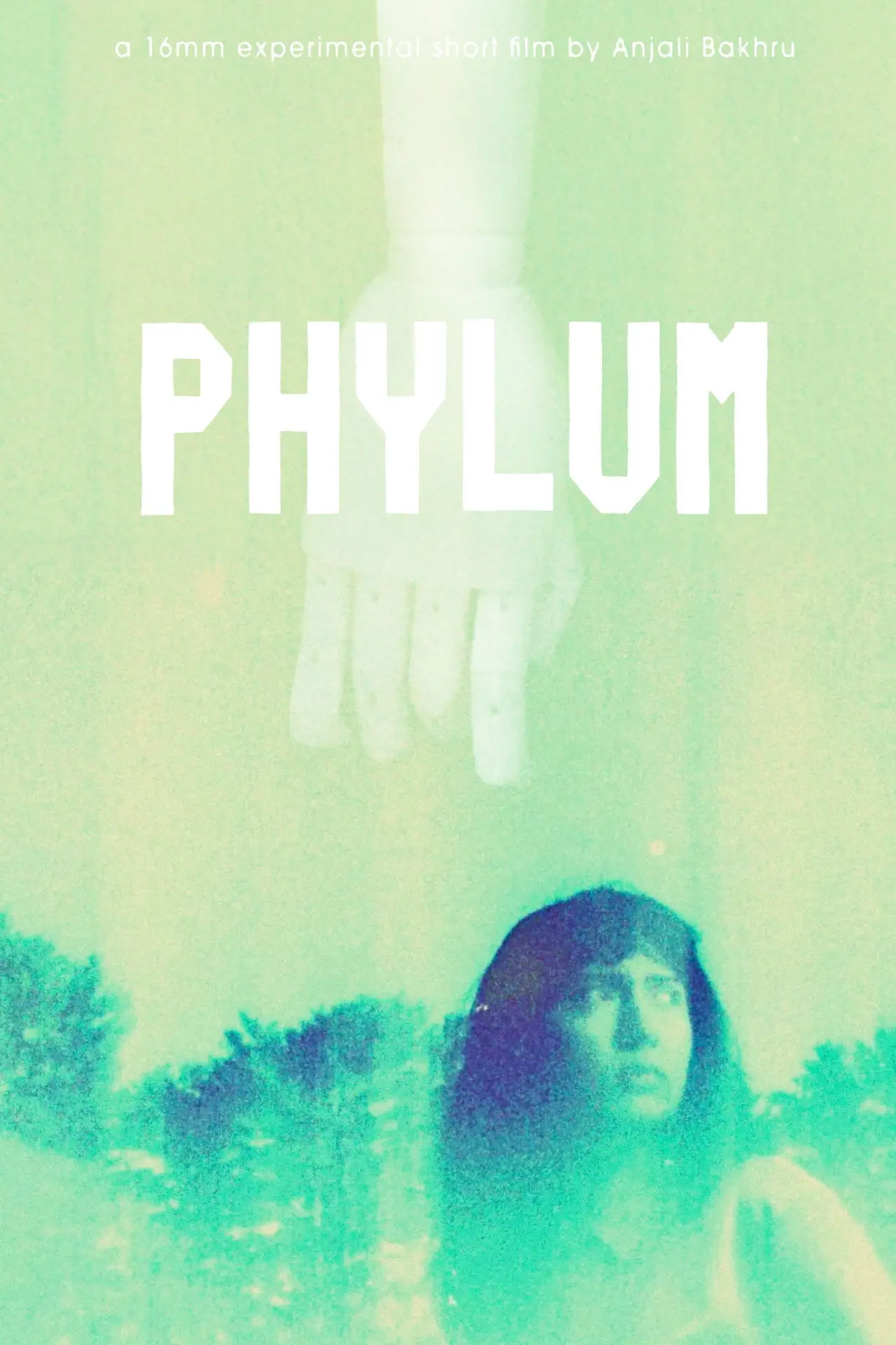 Постер к фильму "Phylum"