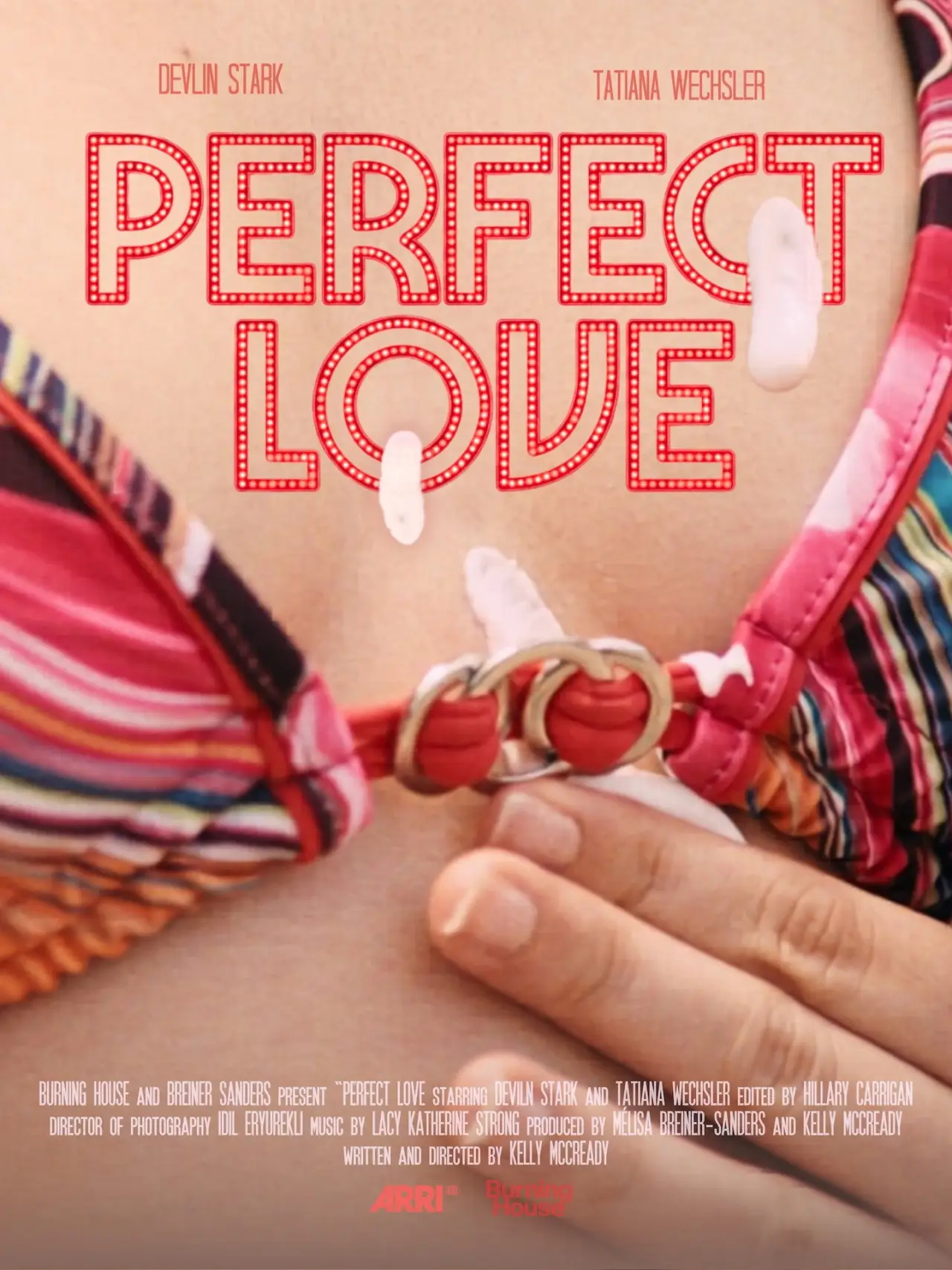 Постер к фильму "Perfect Love"