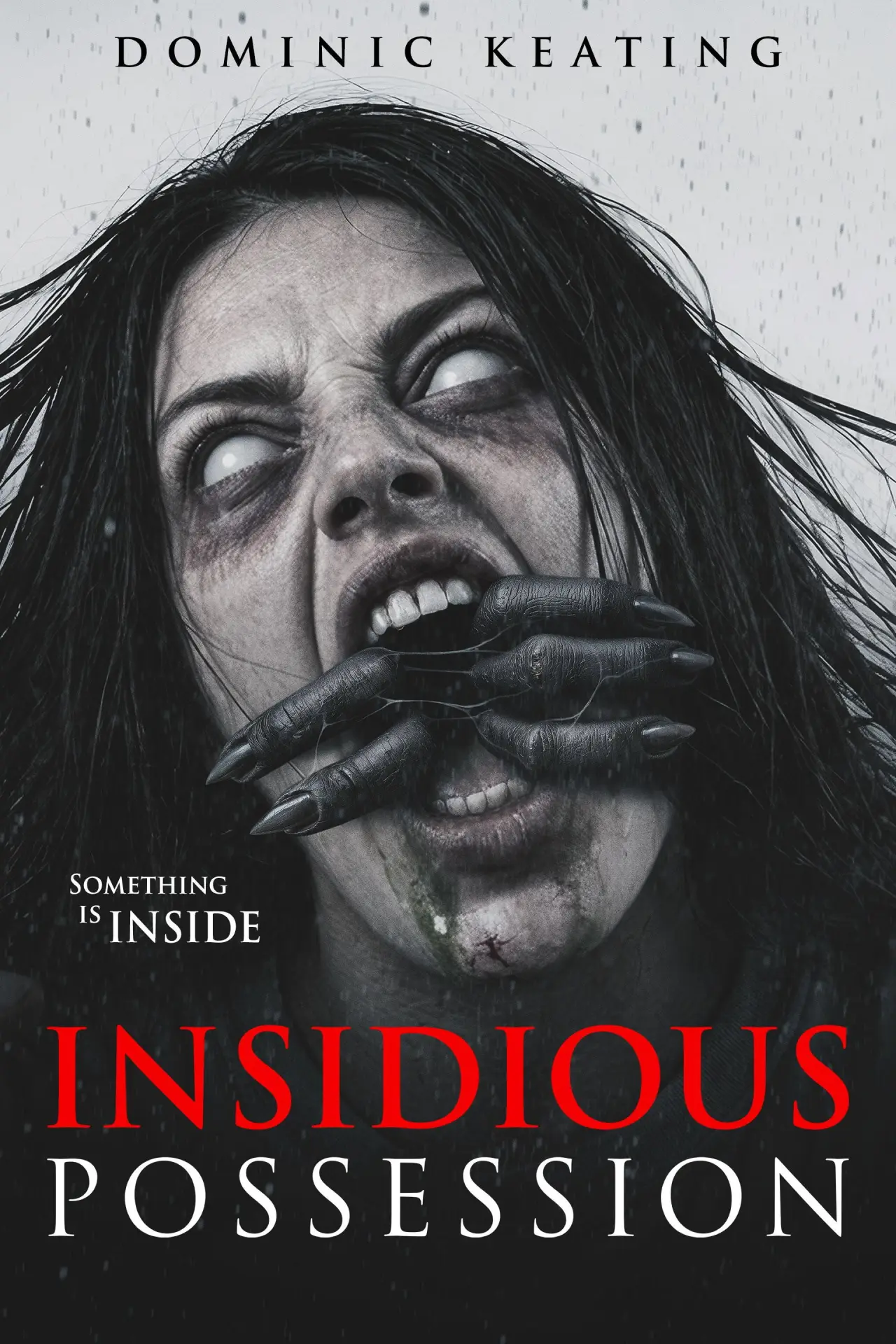 Постер к фильму "Insidious Possession"