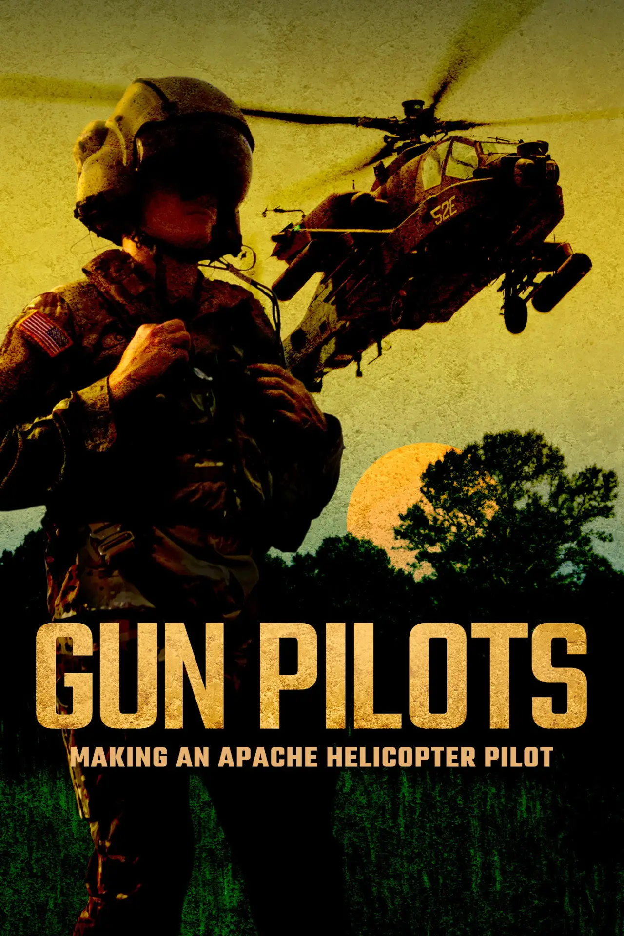 Постер к фильму "Gun Pilots"