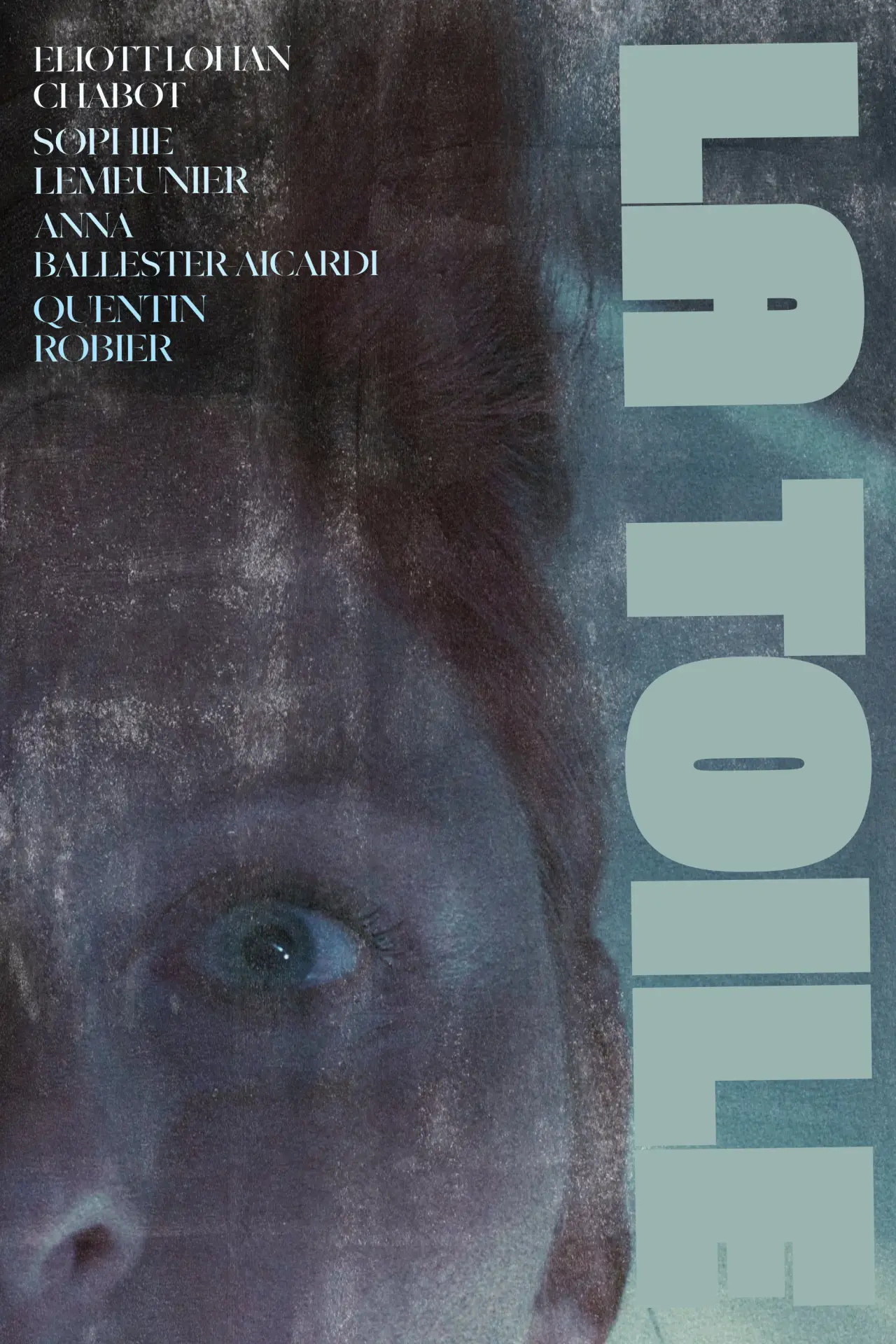 Постер к фильму "LA TOILE"